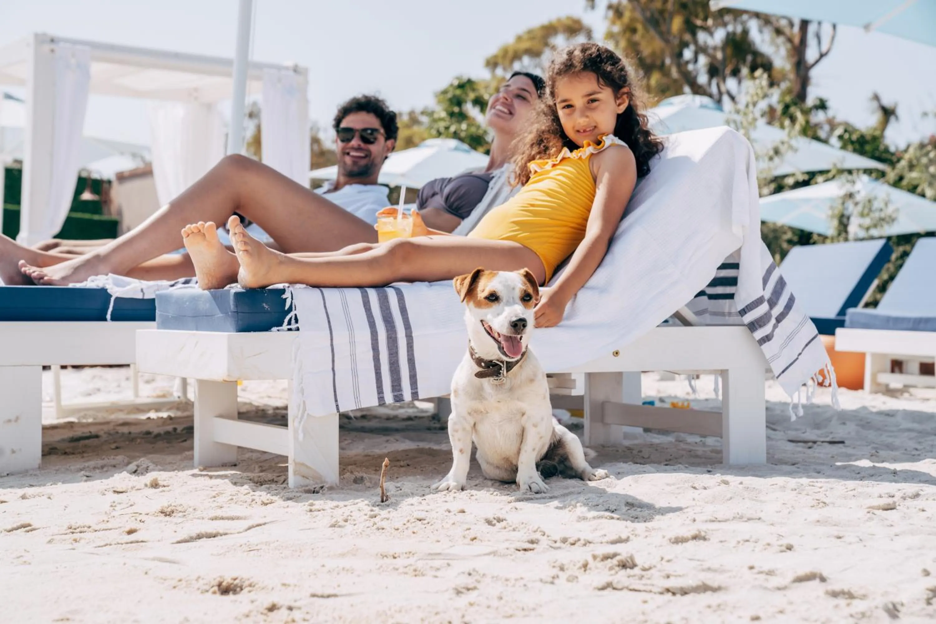 Pets in D - Resort Ayvalık