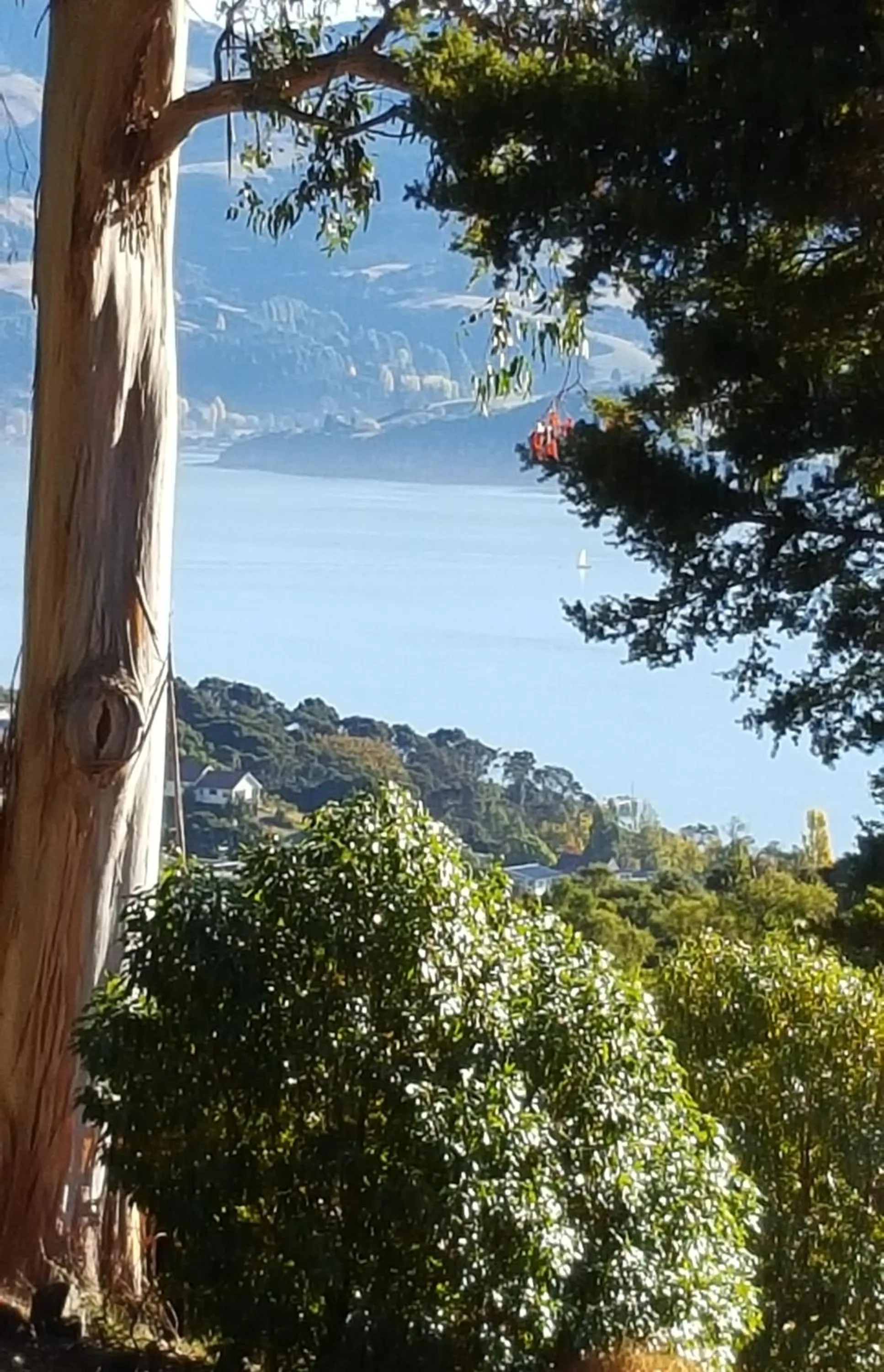 Natural landscape in Mt Vernon