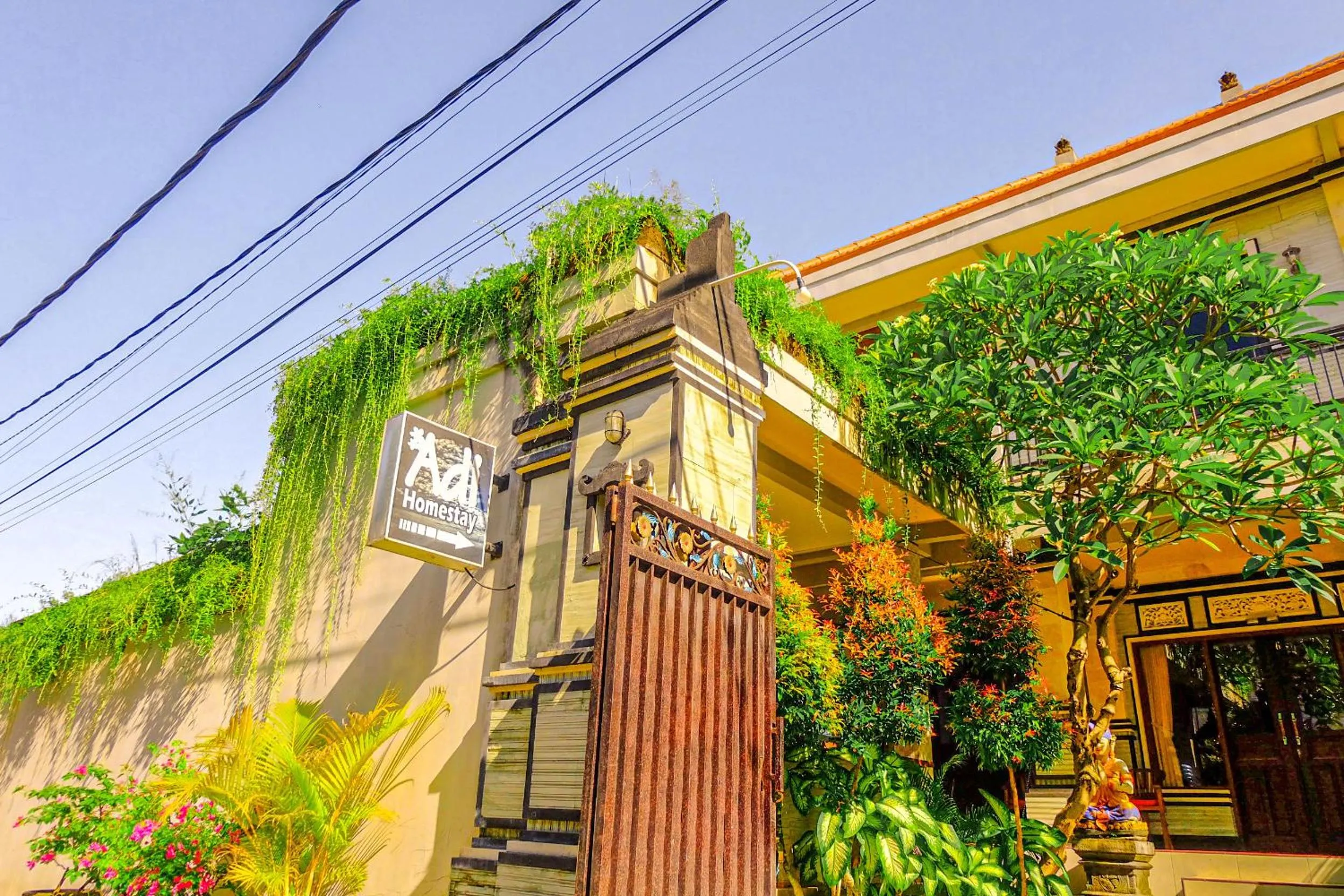 Property building in Adi Homestay