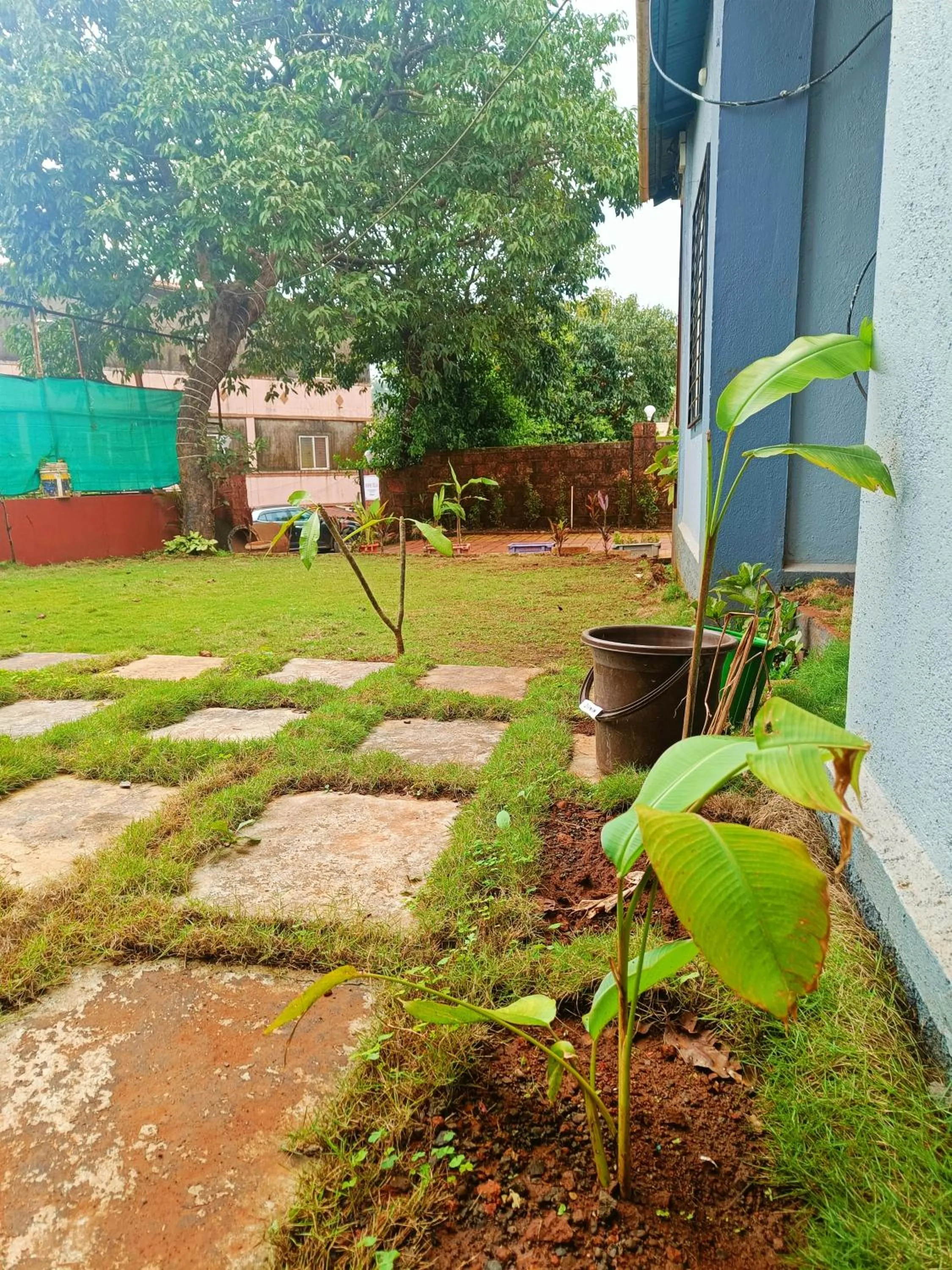 Garden in Ashok Villa