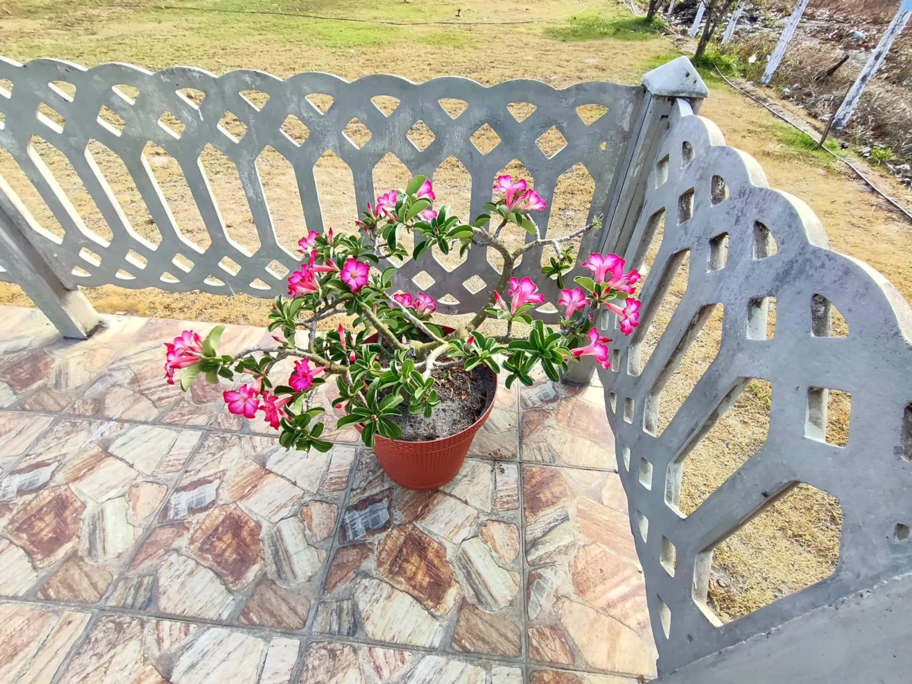 Spring in Divinos Flat Carneiros