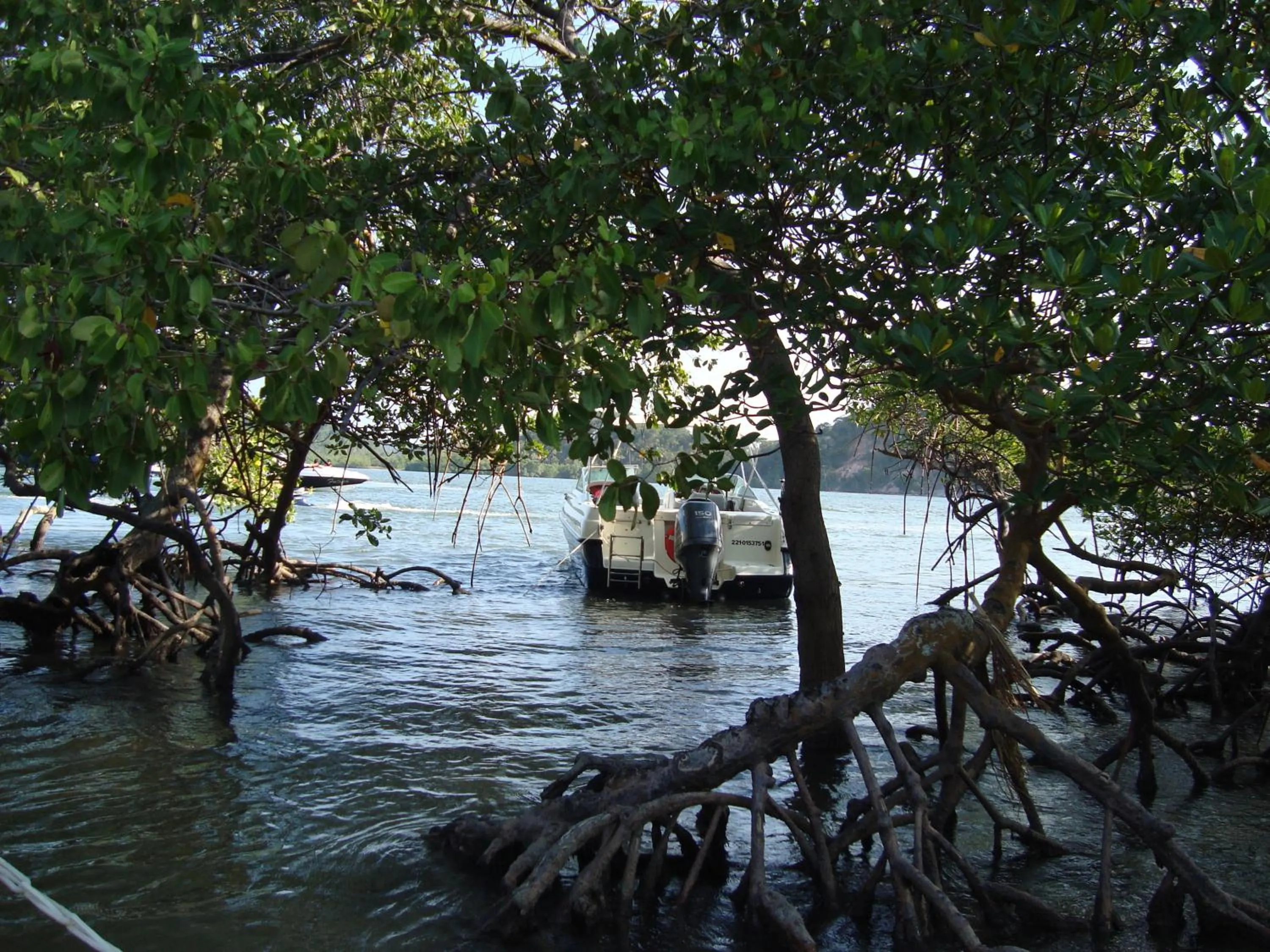 View (from property/room) in Divinos Flat Carneiros