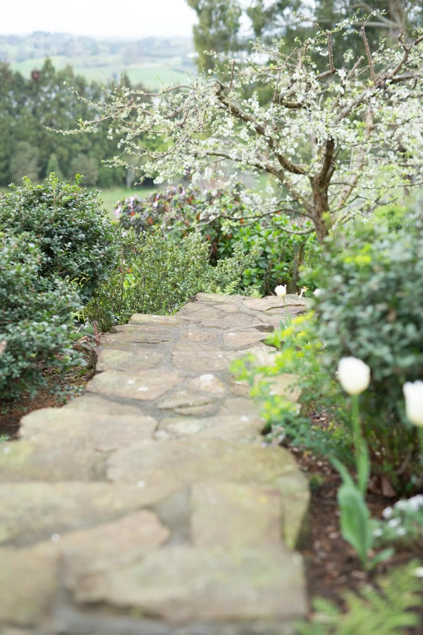 The French Country House, Tauranga