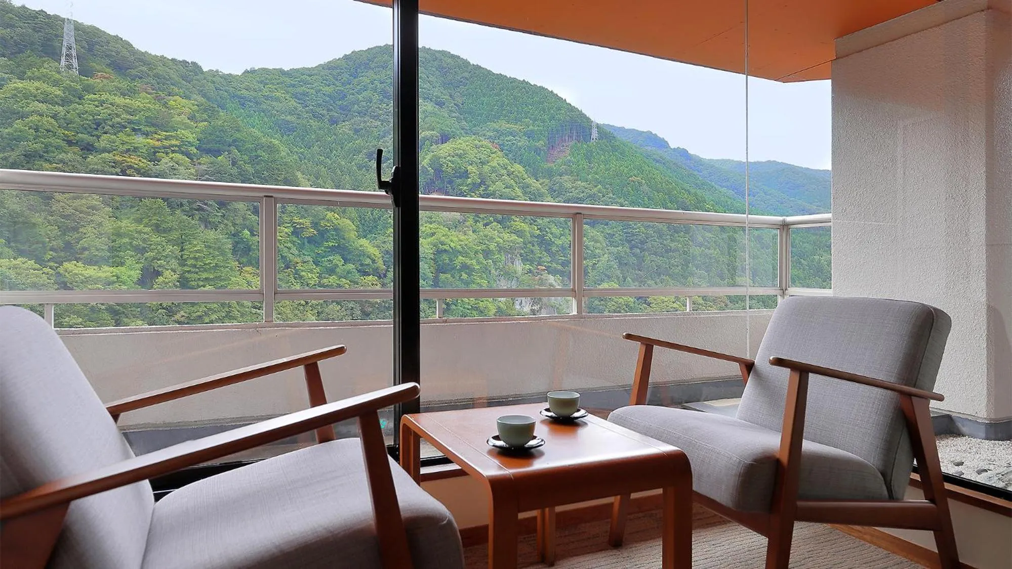 View (from property/room) in Hotel Sunshine Kinugawa