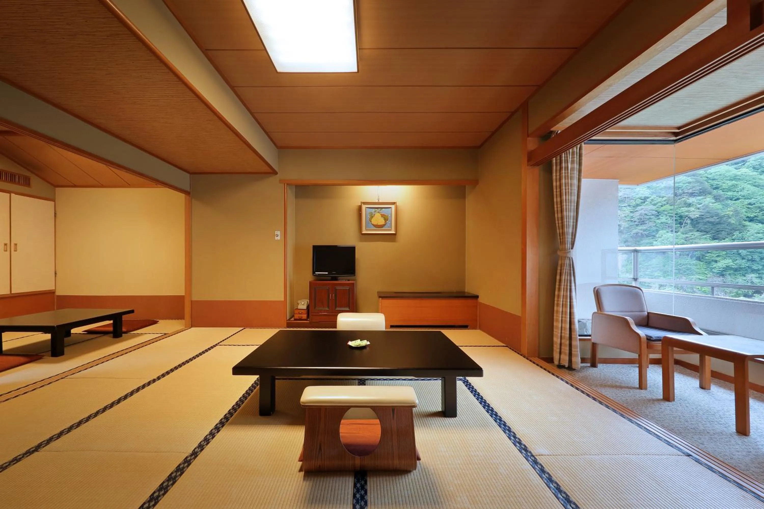 View (from property/room) in Hotel Sunshine Kinugawa