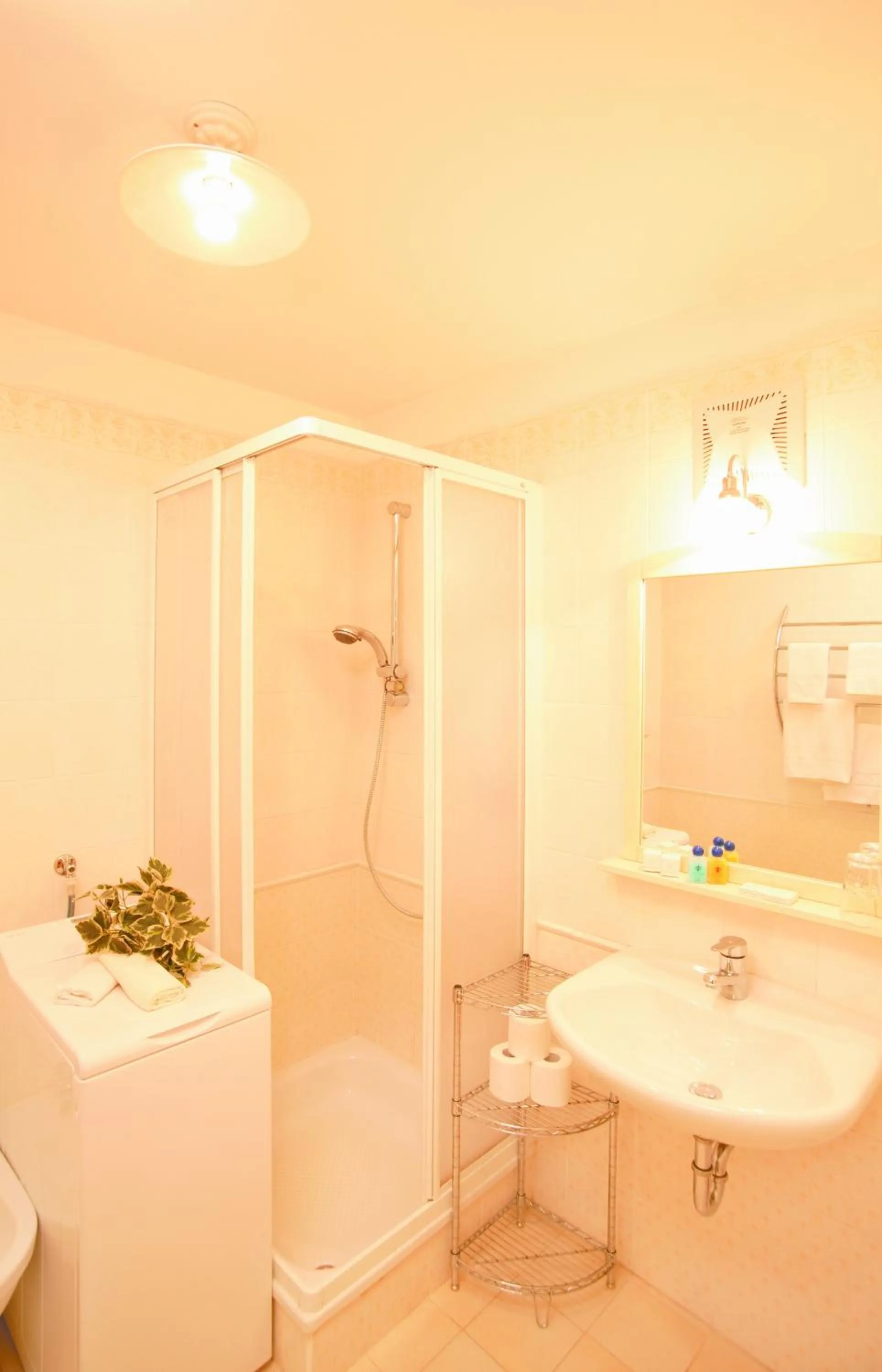 Bathroom in Hotel Tschurtschenthaler