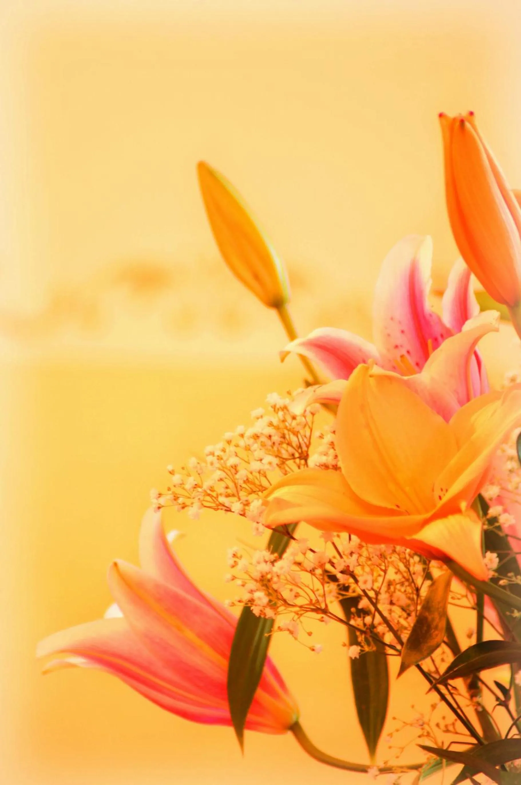 Other in Hotel Tschurtschenthaler