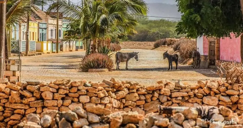 Natural landscape in Pensaò Big Game Maio