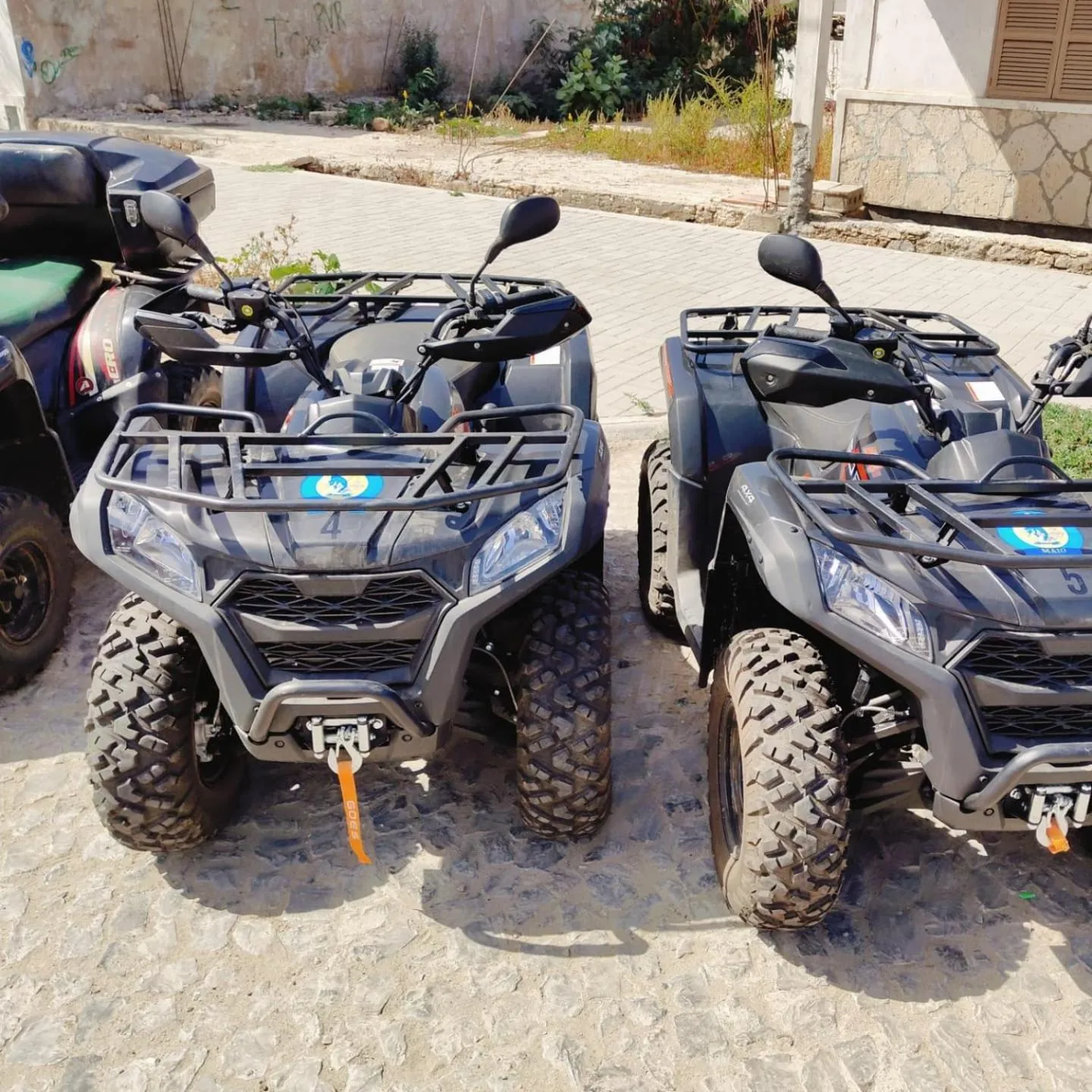 Day in Pensaò Big Game Maio