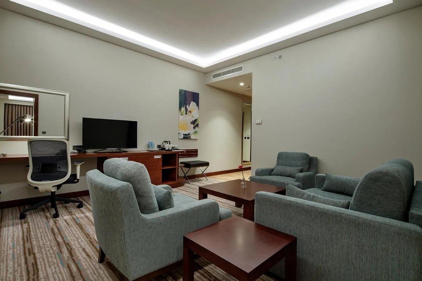 TV and multimedia in Hilton Garden Inn Corlu