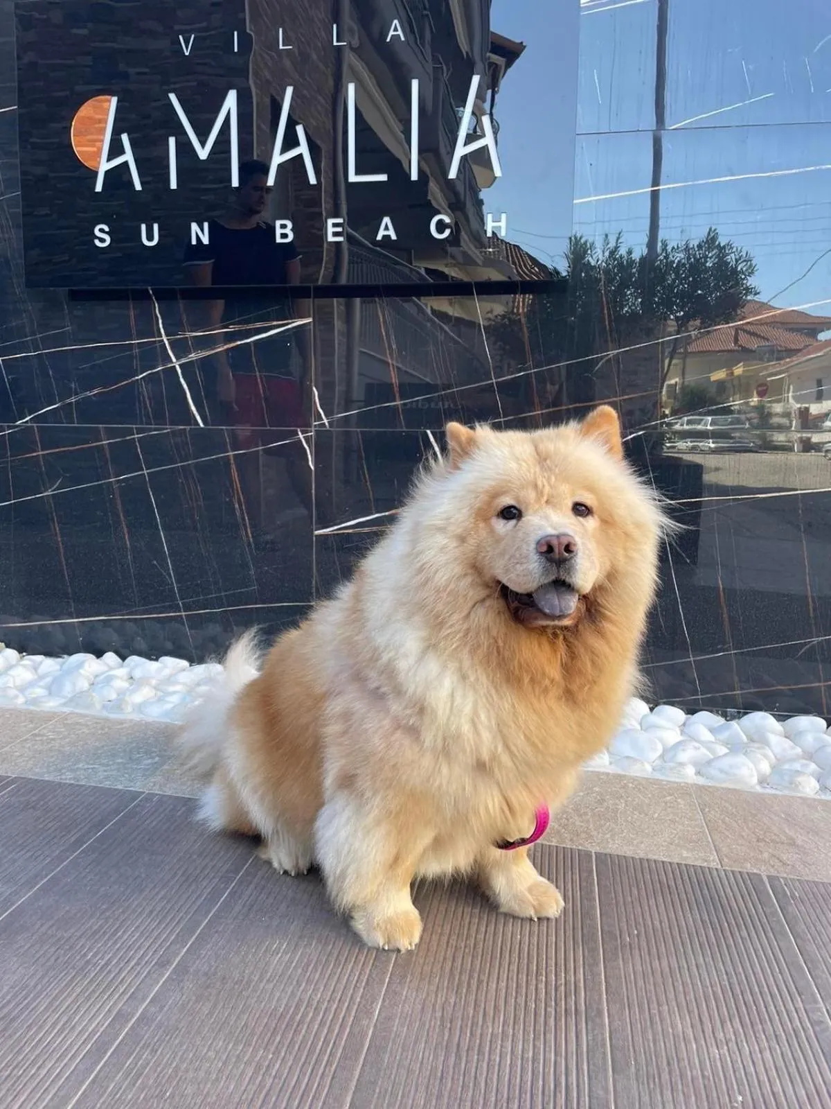 Property building in Villa Amalia Sun Beach