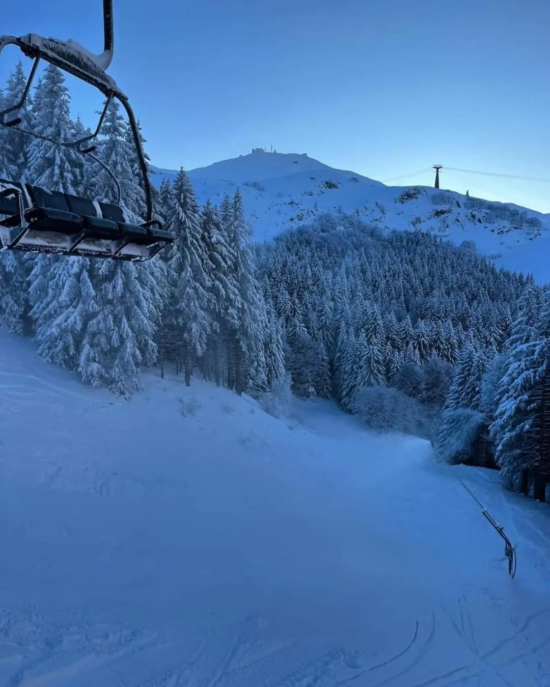 Winter in Residence Giardino