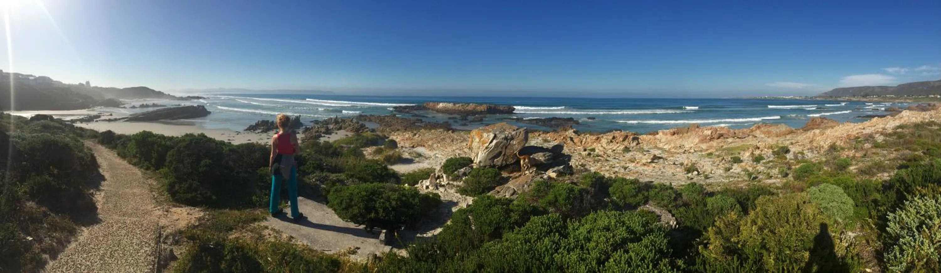 Natural landscape in Hermanus Backpackers & Budget Accommodation