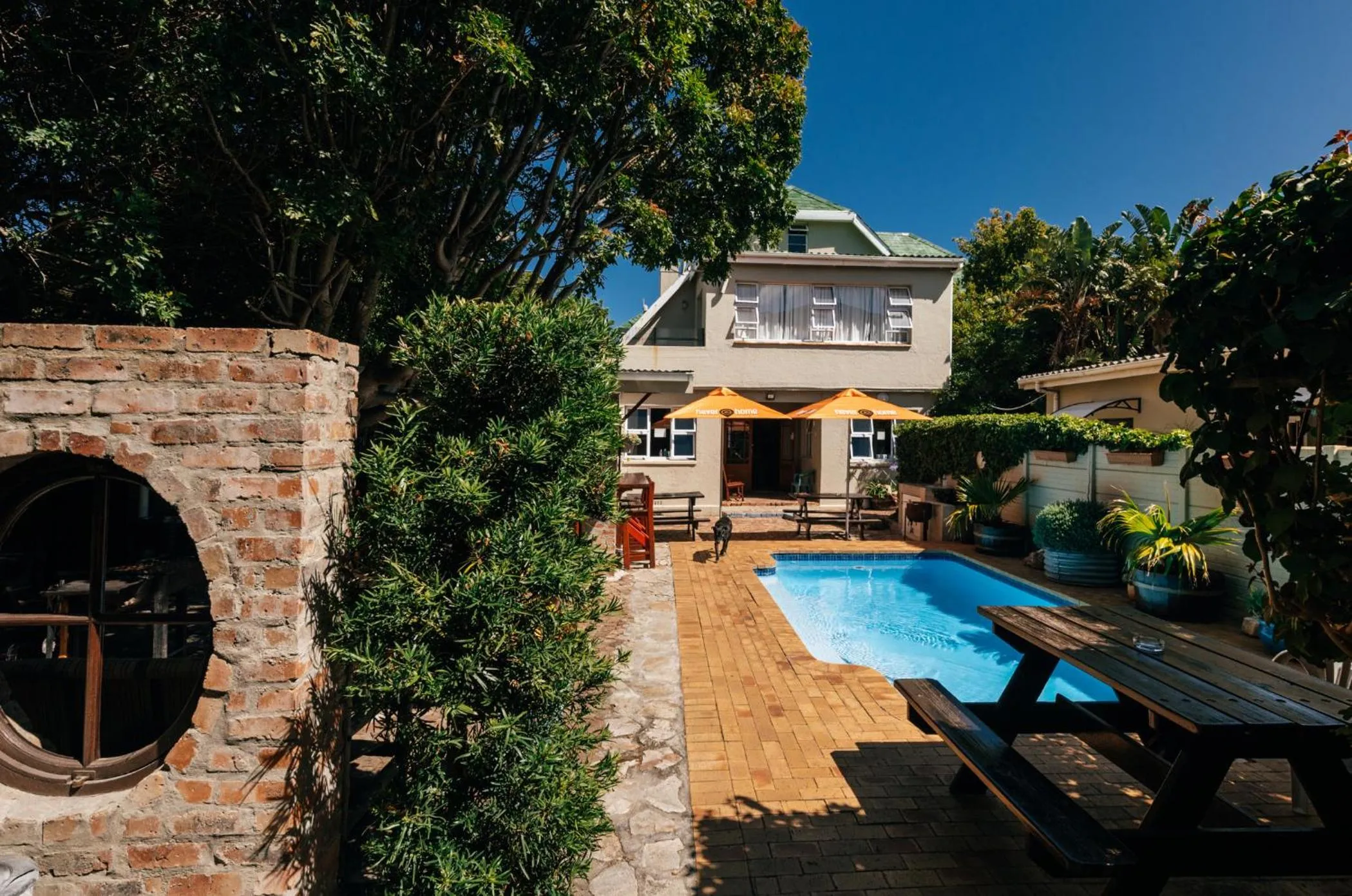 Swimming pool in Hermanus Backpackers & Budget Accommodation