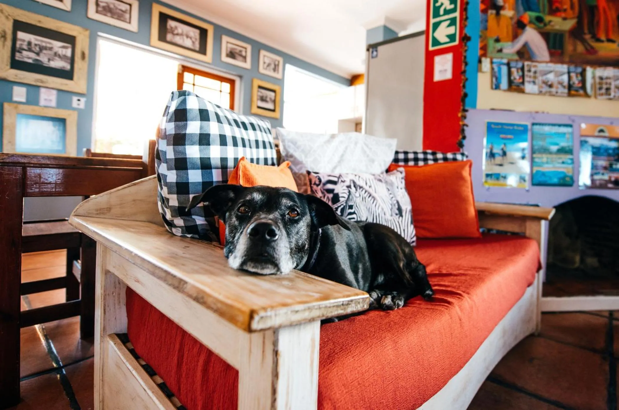 Other in Hermanus Backpackers & Budget Accommodation