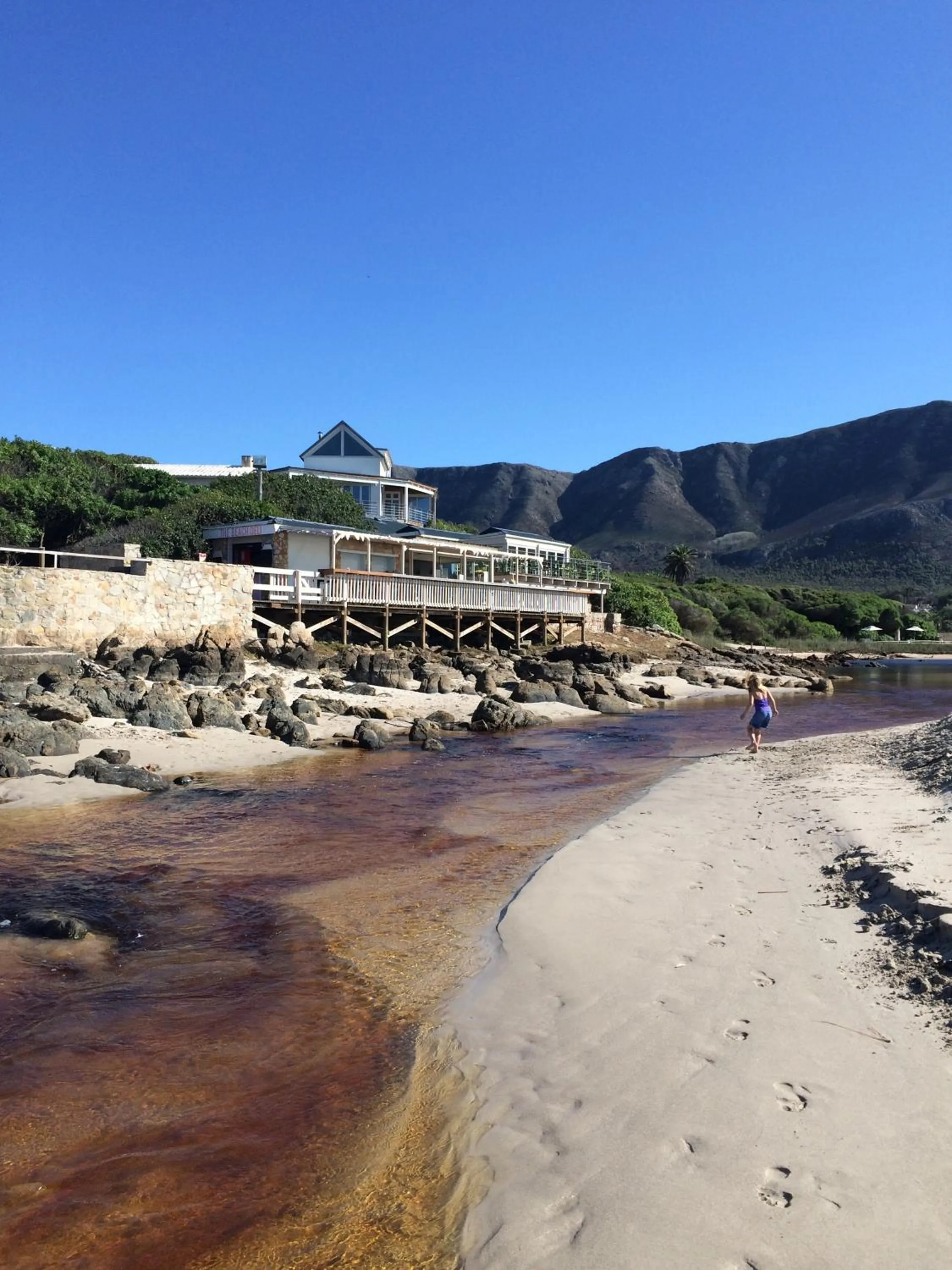 Nearby landmark in Hermanus Backpackers & Budget Accommodation