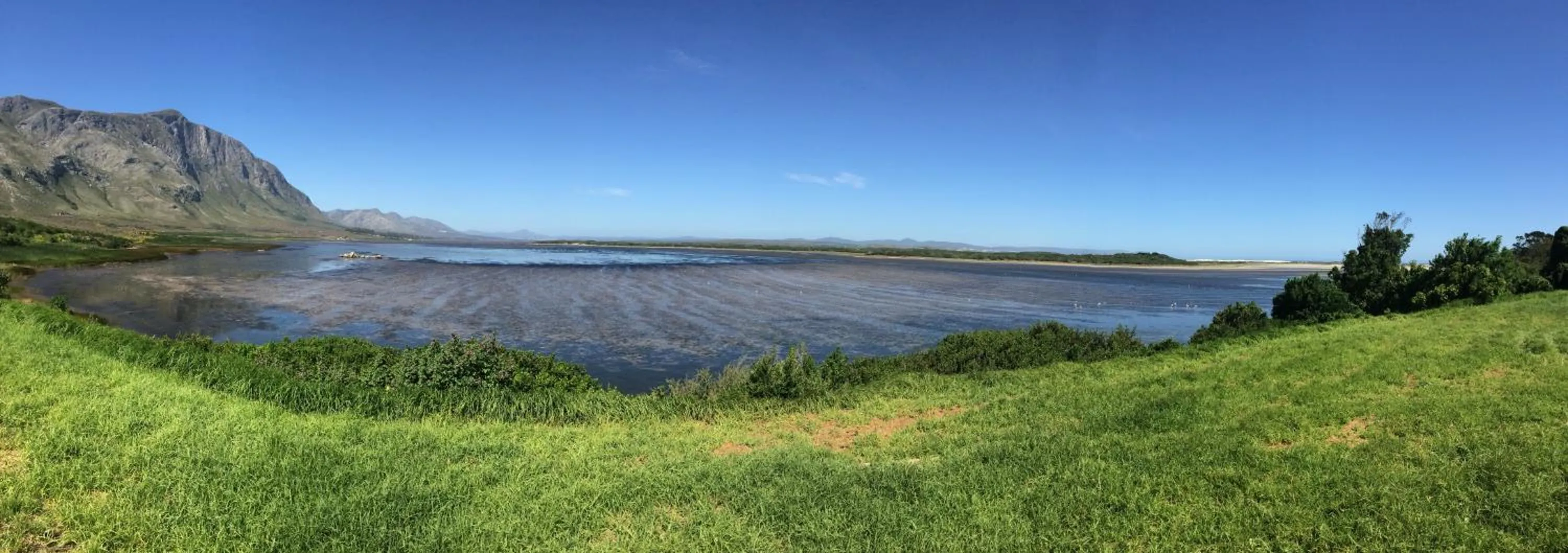 Nearby landmark in Hermanus Backpackers & Budget Accommodation