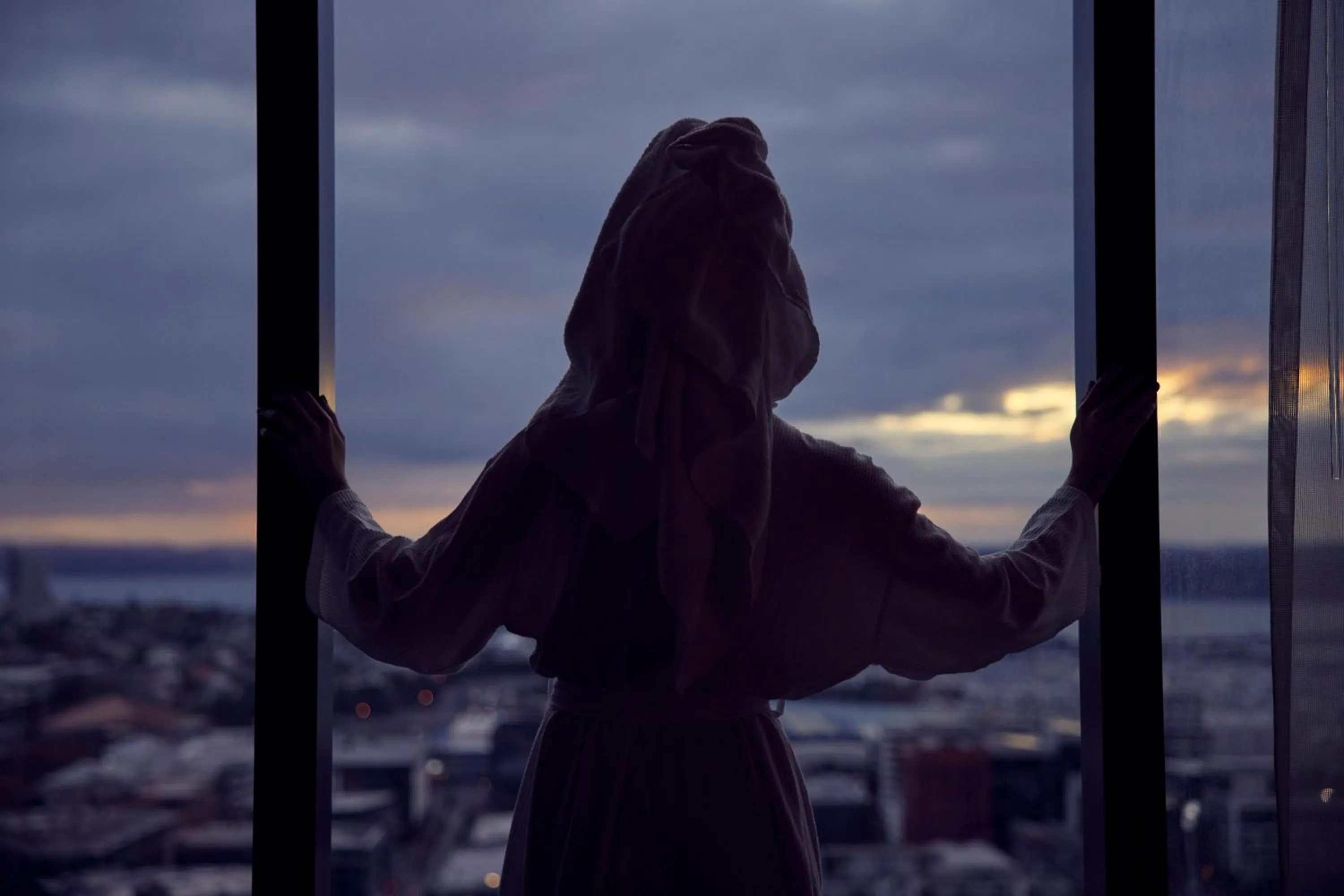 View (from property/room) in Hotel Indigo Auckland by IHG