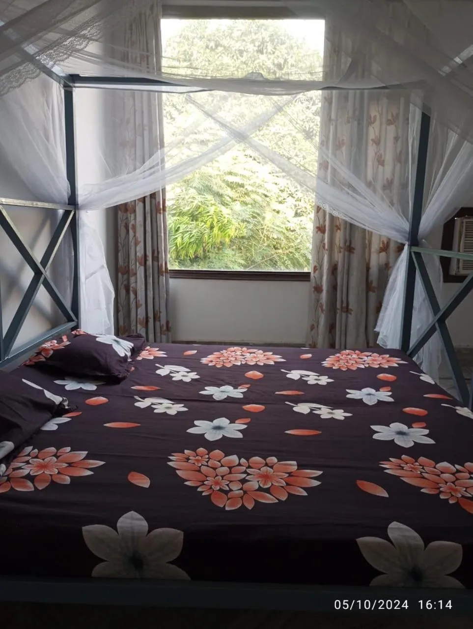 Bedroom, Bed in Backpackers Station