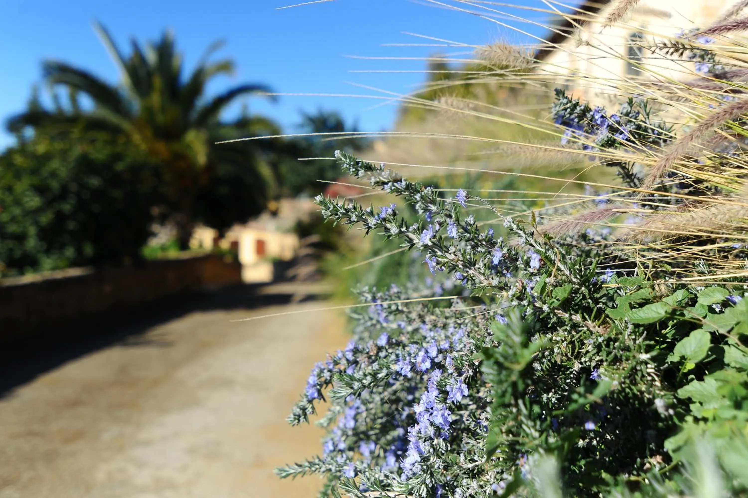 Decorative detail in Villa La Lumia B&B Suites & Apartments