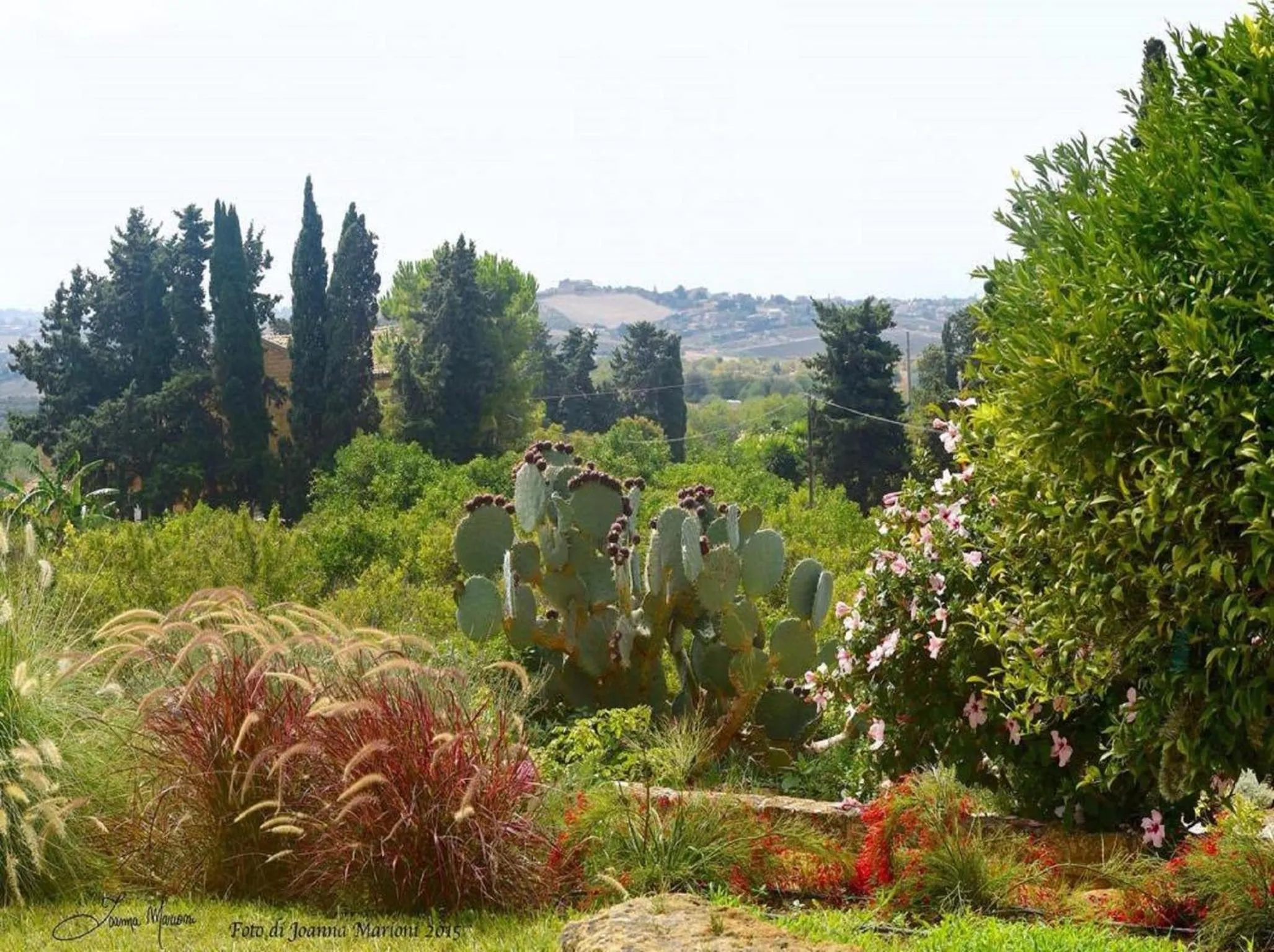 Garden in Villa La Lumia B&B Suites & Apartments