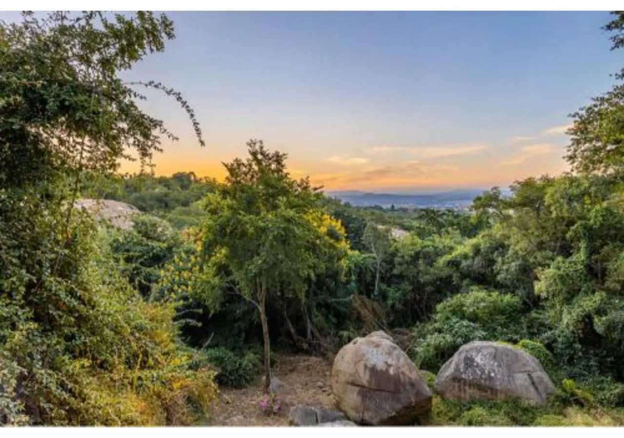 Natural landscape in Sheppard Boutique Hotel