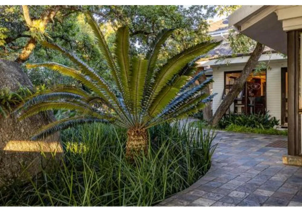 Natural landscape in Sheppard Boutique Hotel