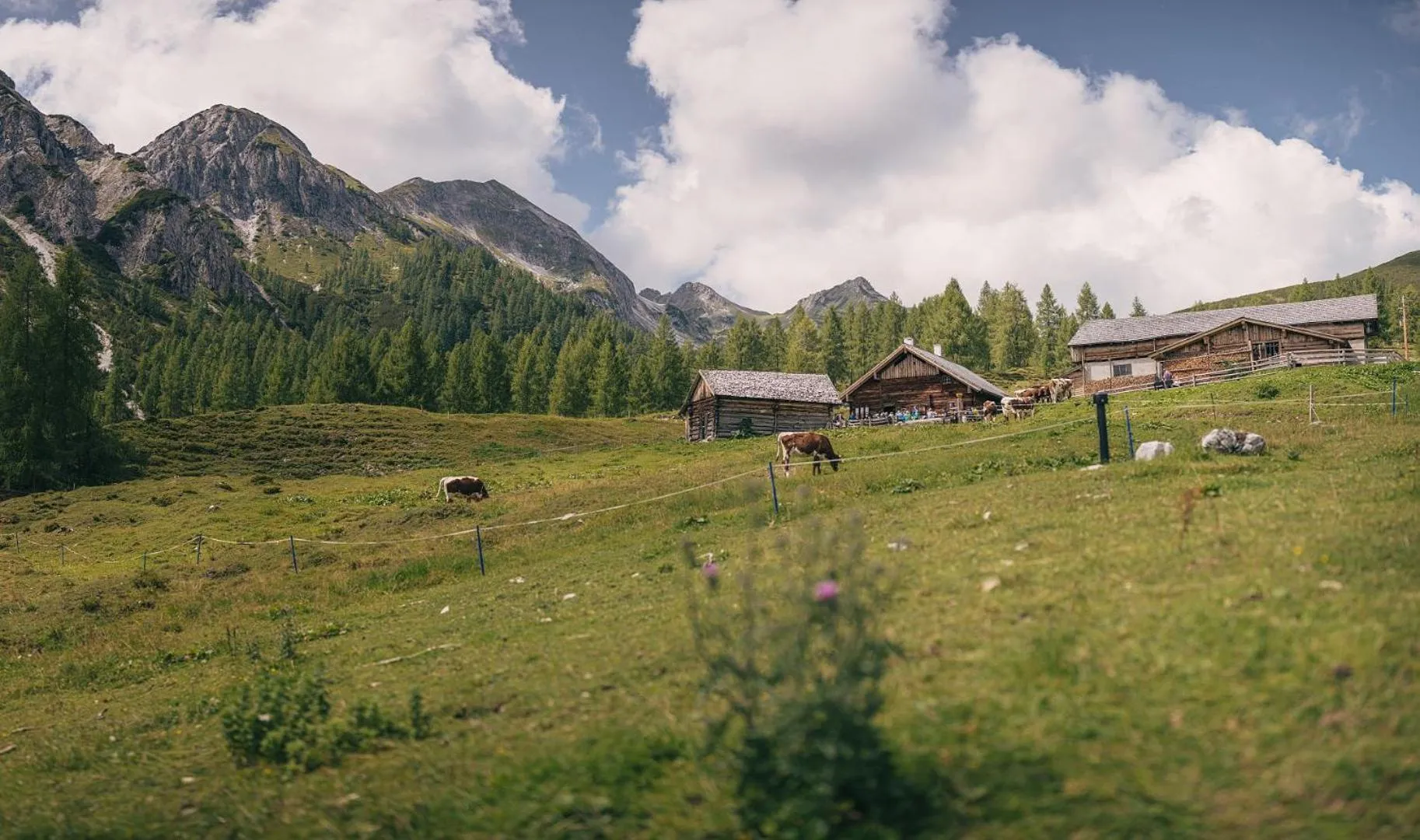 Other in Hotel Sportalmmm, Hoch-Genuss