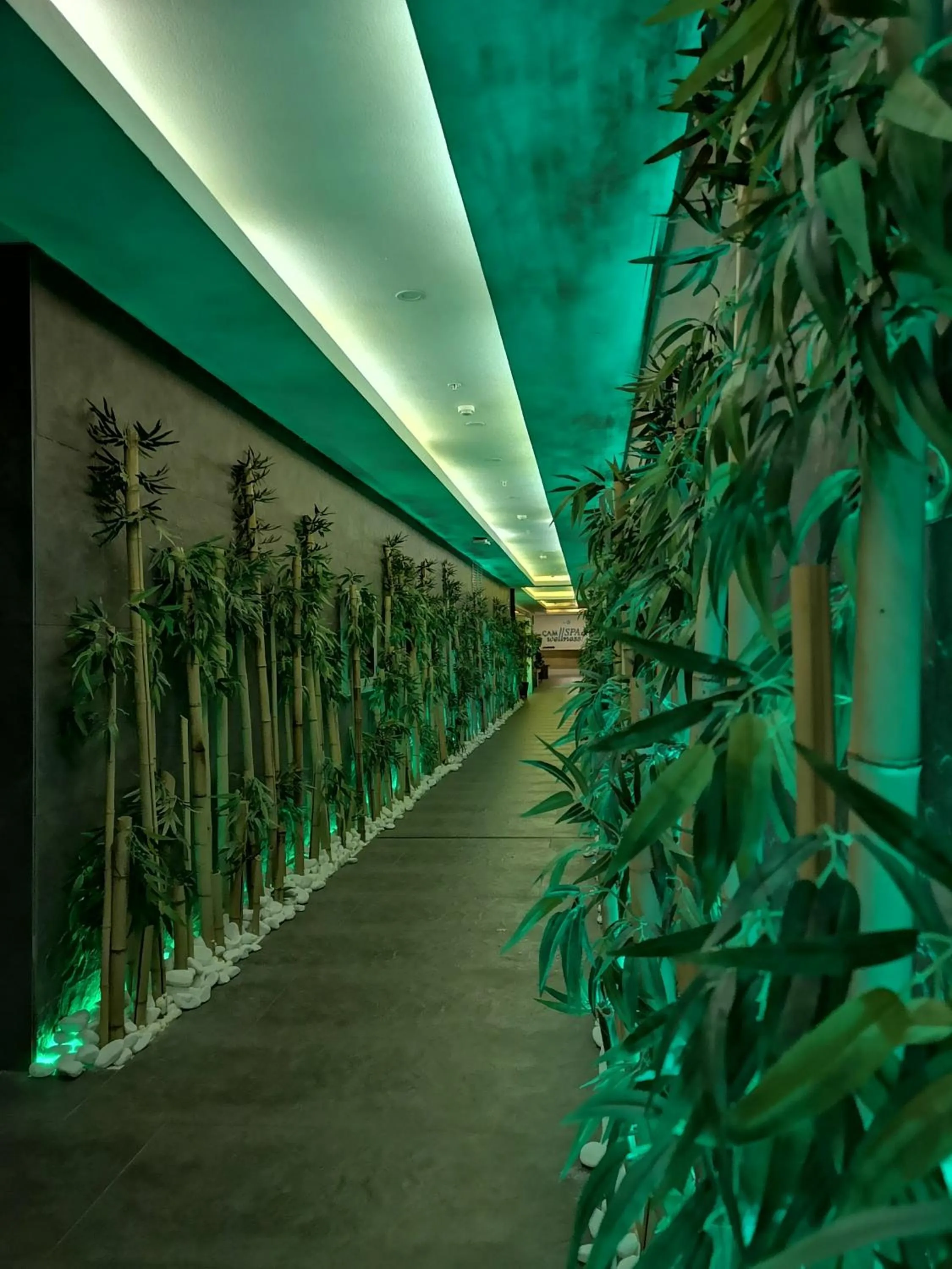 Spa and wellness centre/facilities in Cam Thermal Resort Hotel & Spa