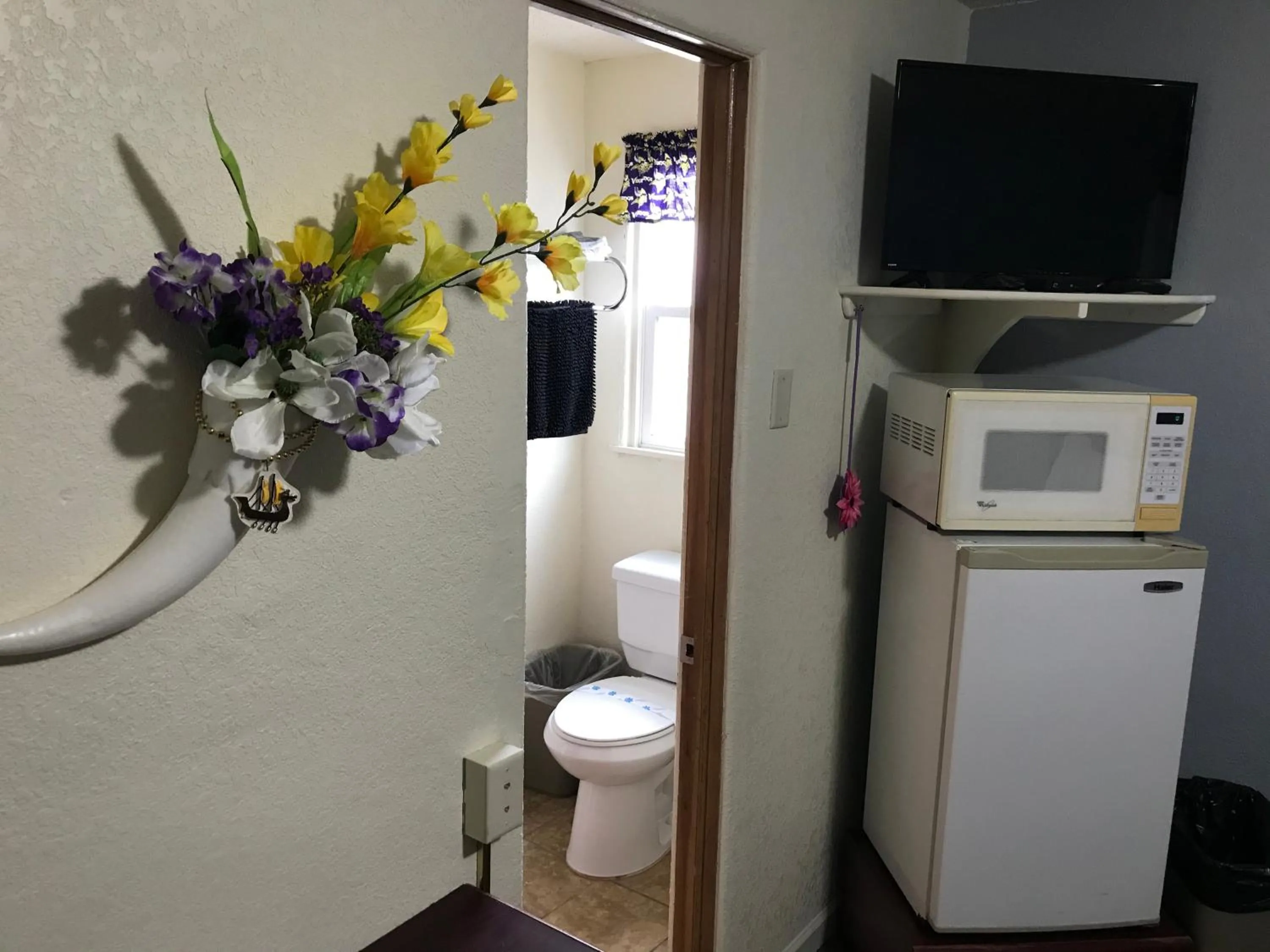Toilet in Highland Court Motel