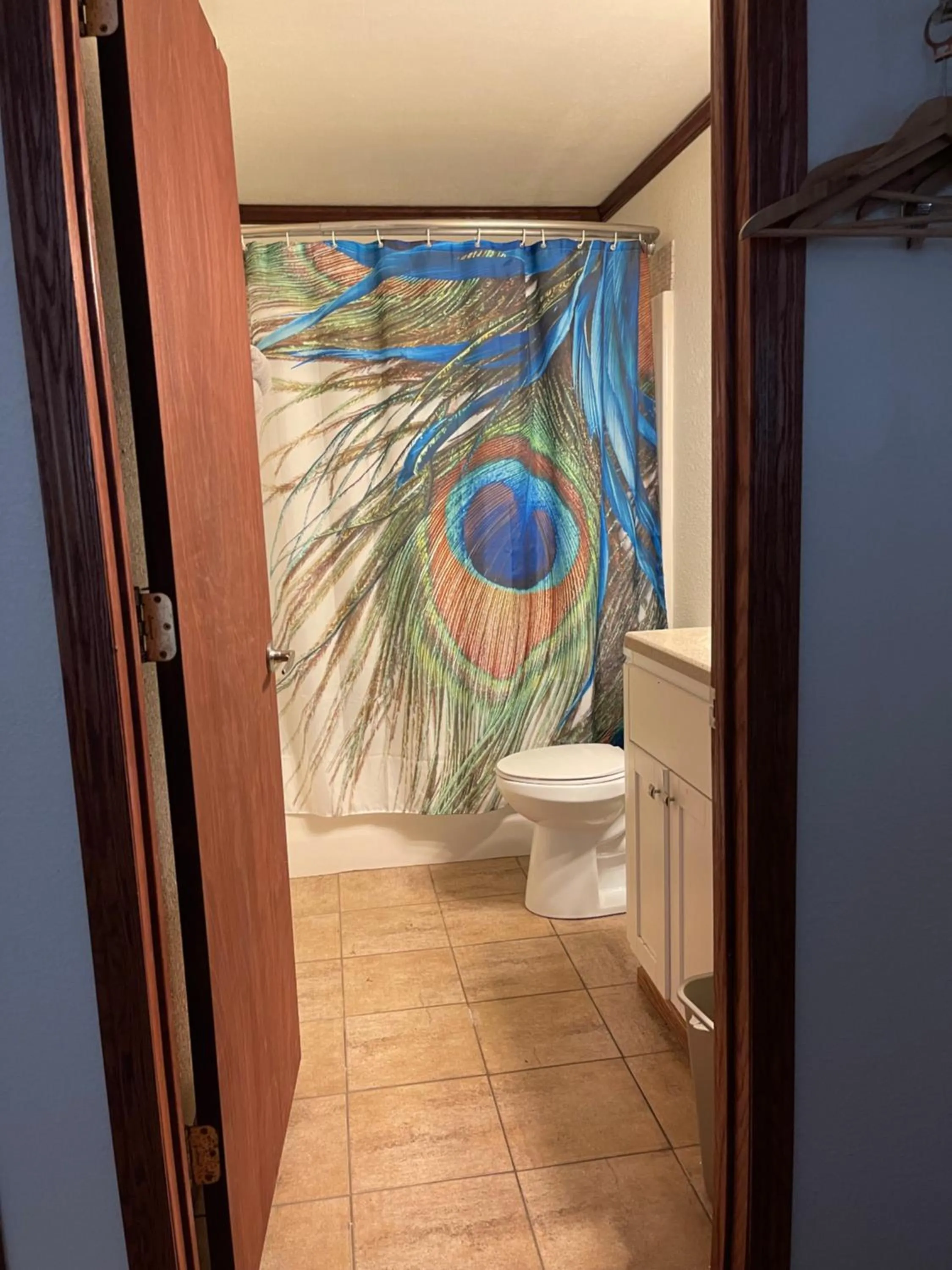 Shower in Highland Court Motel