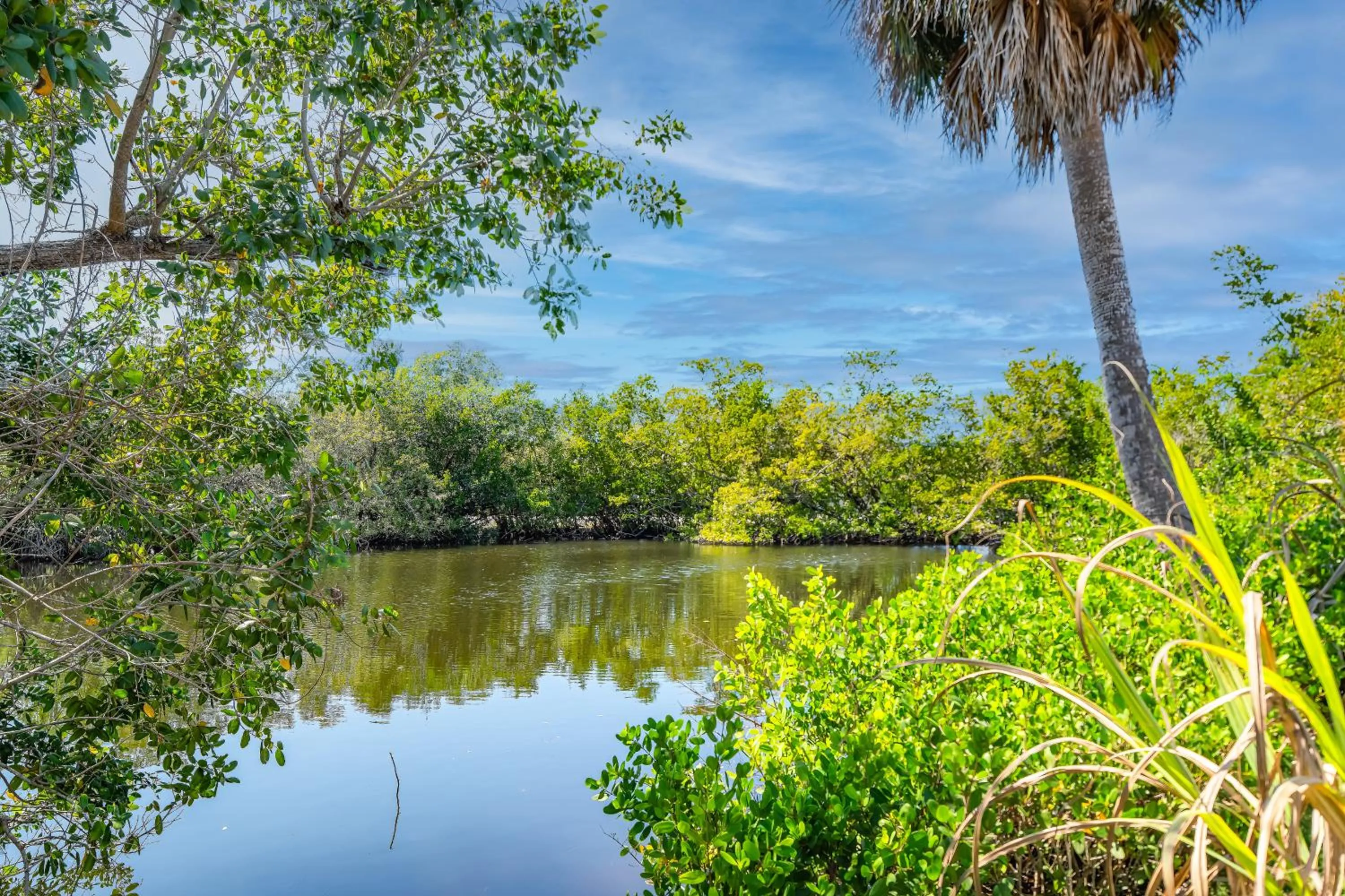 Lake view in Tamiami Motel