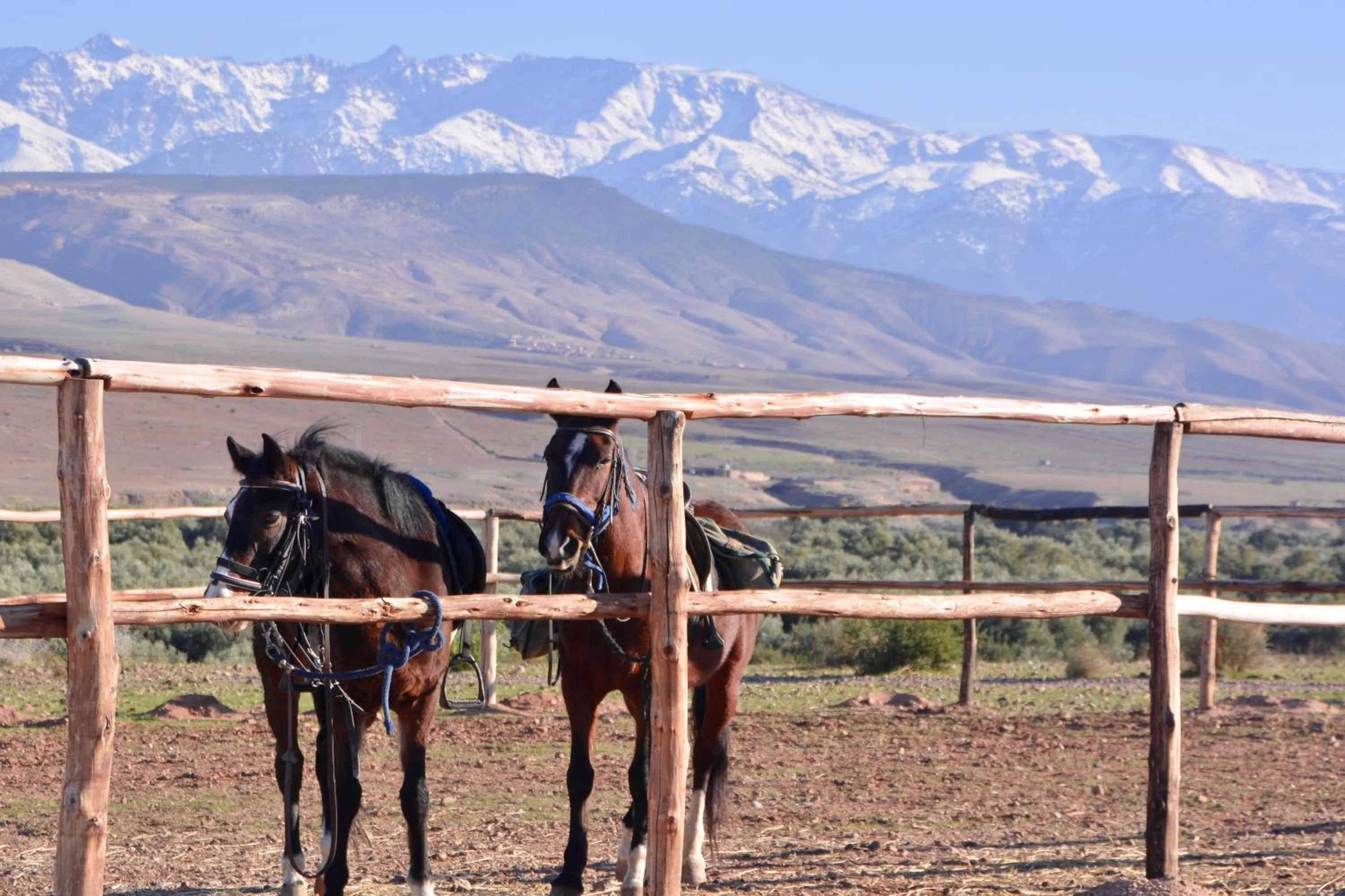 Horse-riding in Kasbah Beldi