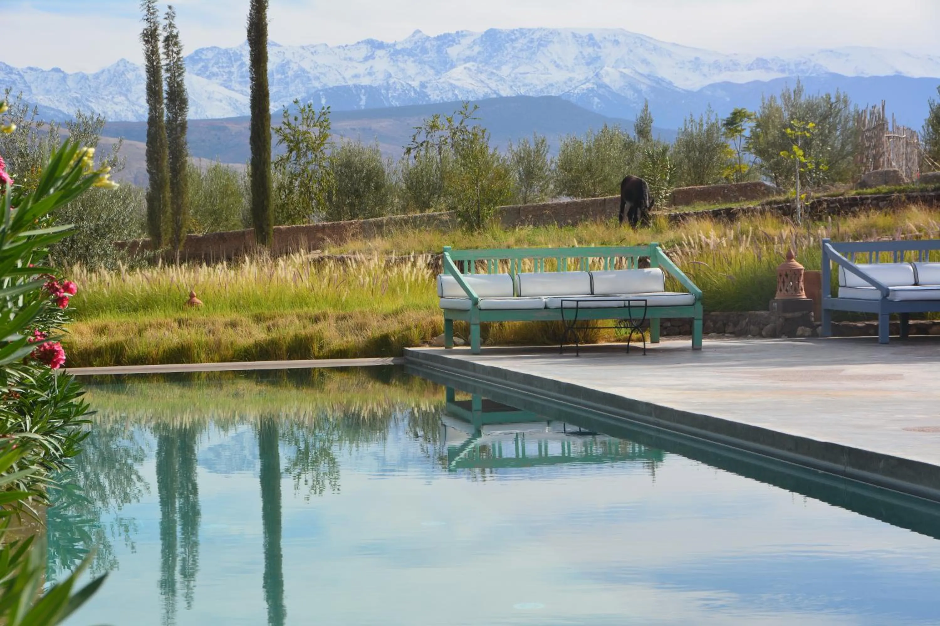 Swimming pool in Kasbah Beldi