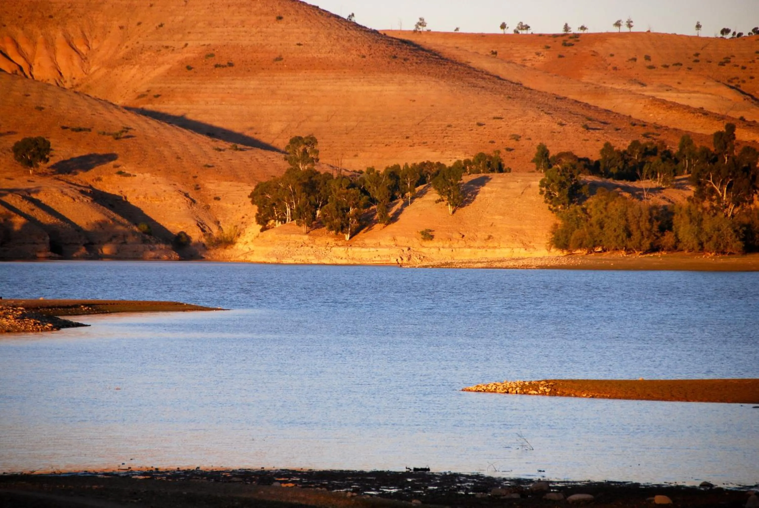 View (from property/room) in Kasbah Beldi