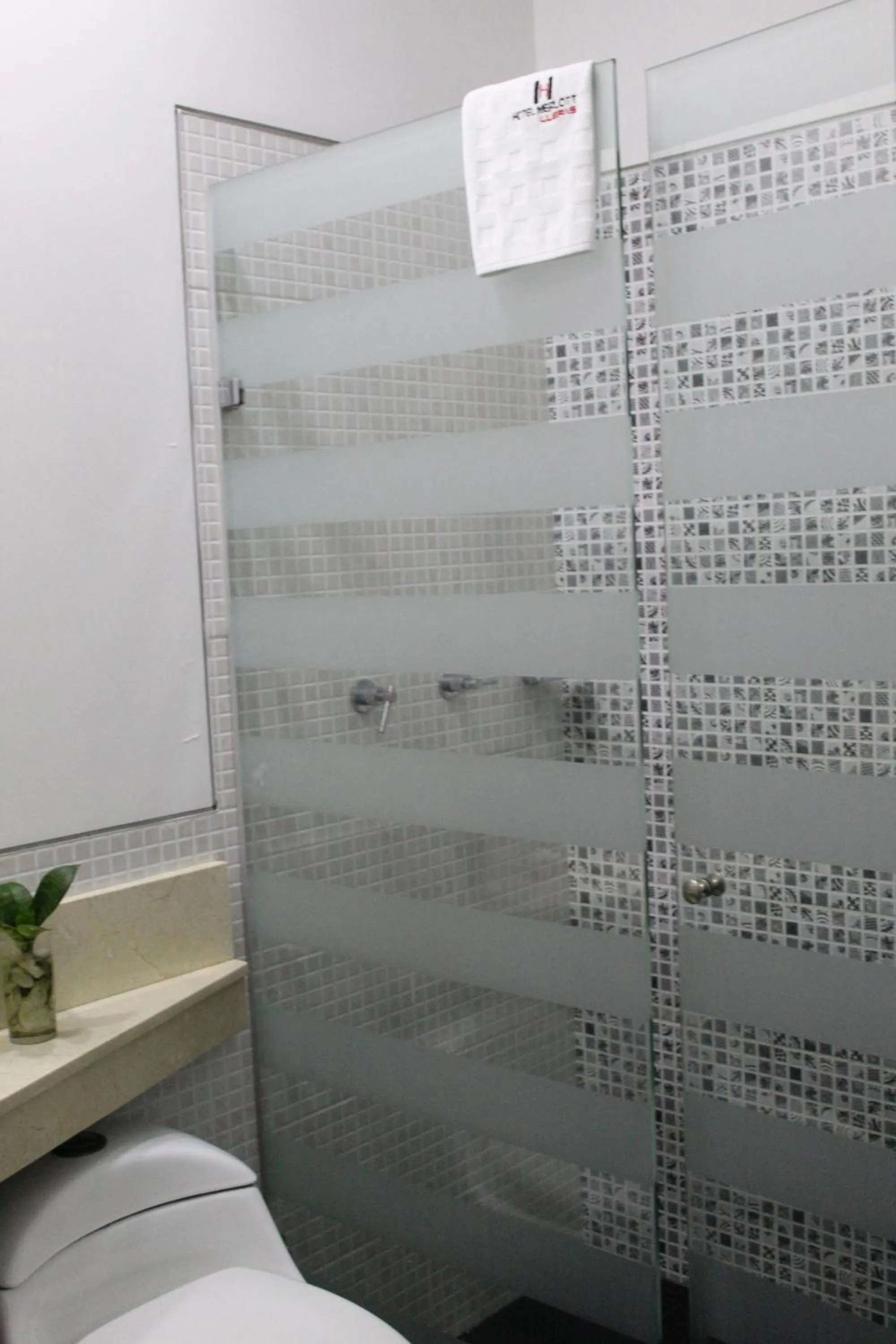Shower in Hotel Merlott Lleras