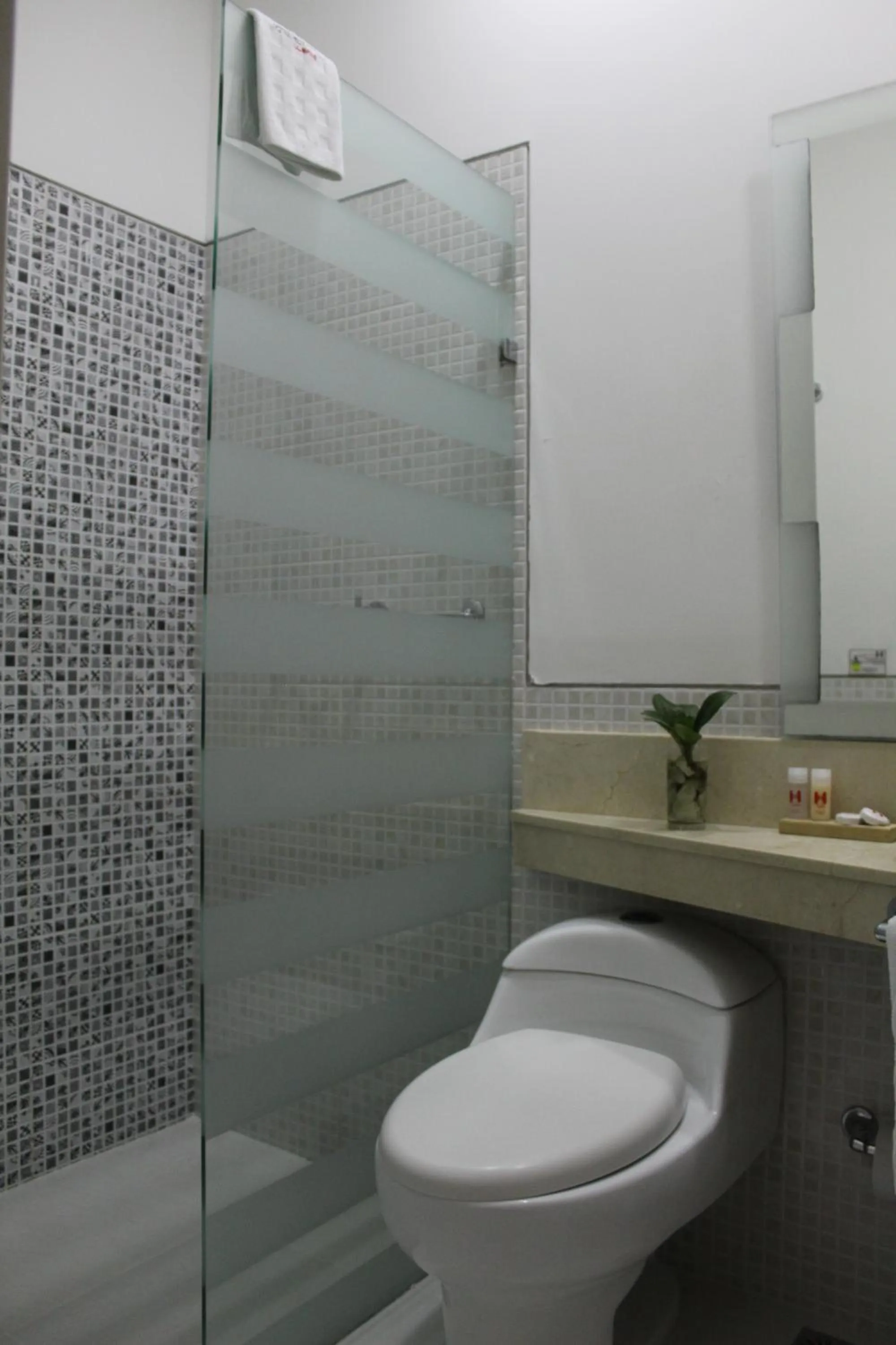 Shower in Hotel Merlott Lleras