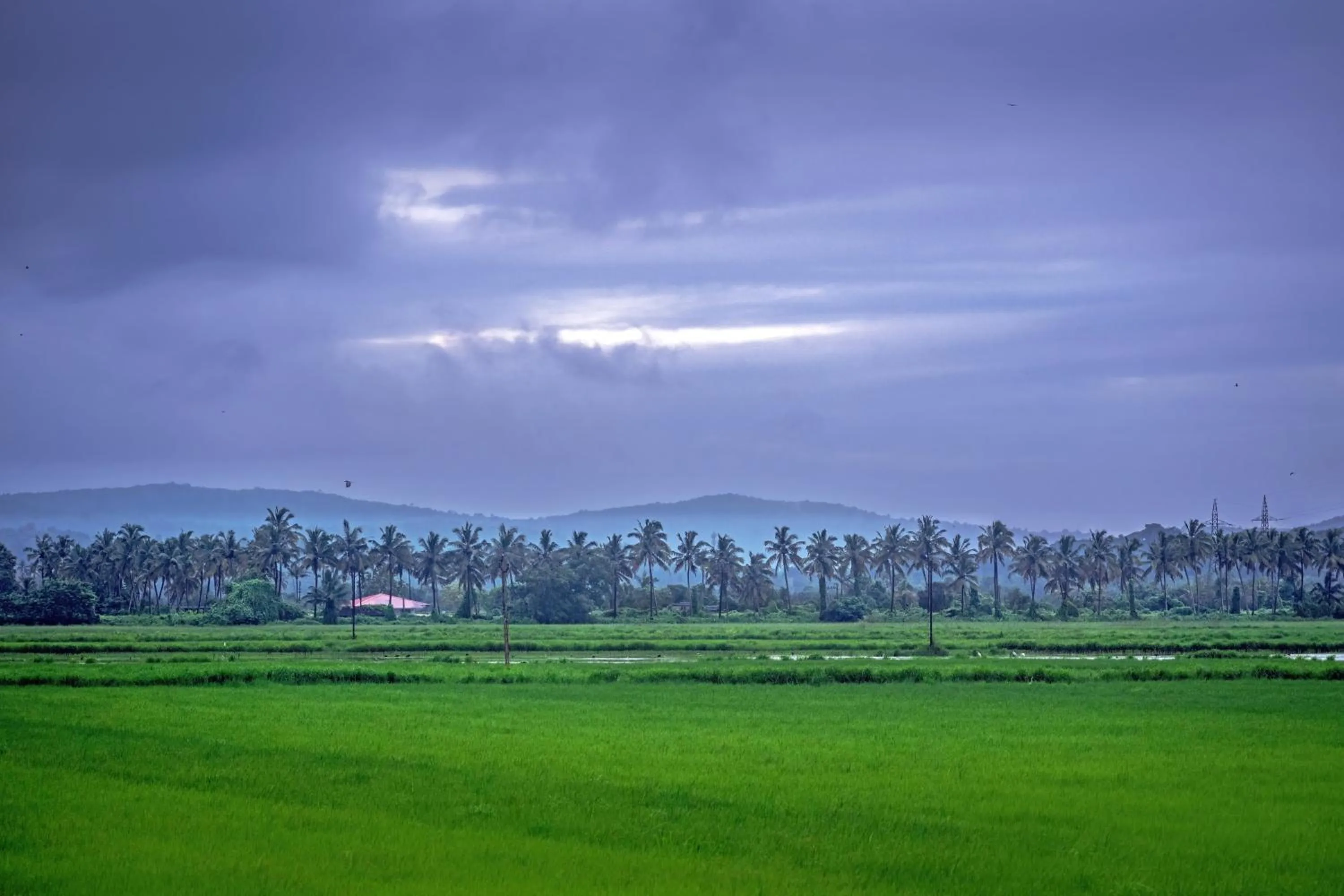 Neighbourhood in Mansao Curtorim - A CGH Earth SAHA Experience
