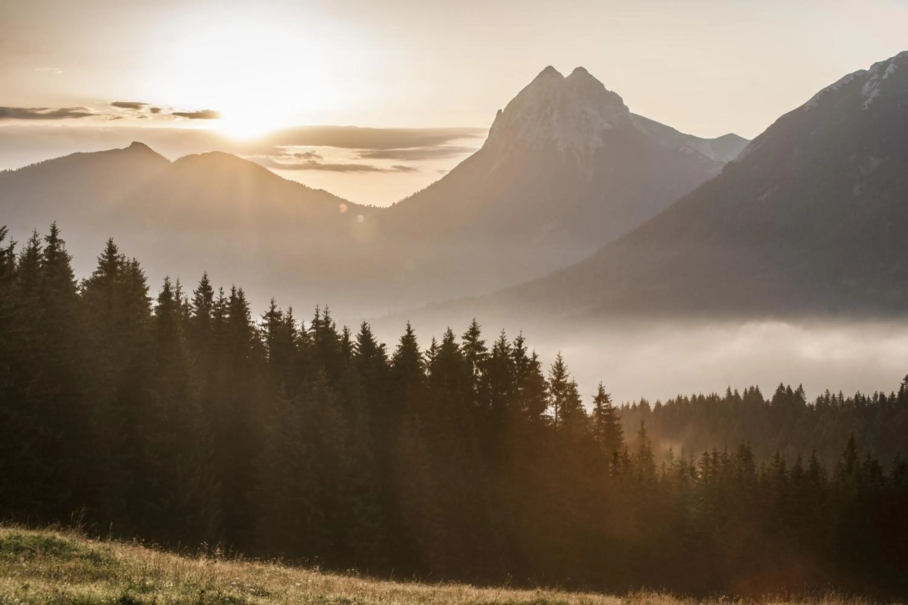 Natural landscape in Posthotel Achenkirch Resort and Spa - Adults Only