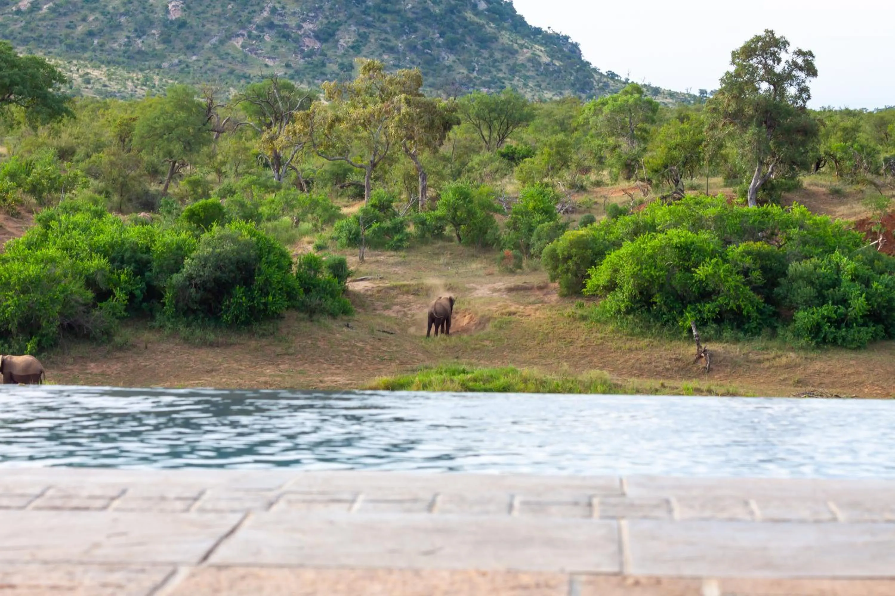 Day in Royal Mukumbura Malelane