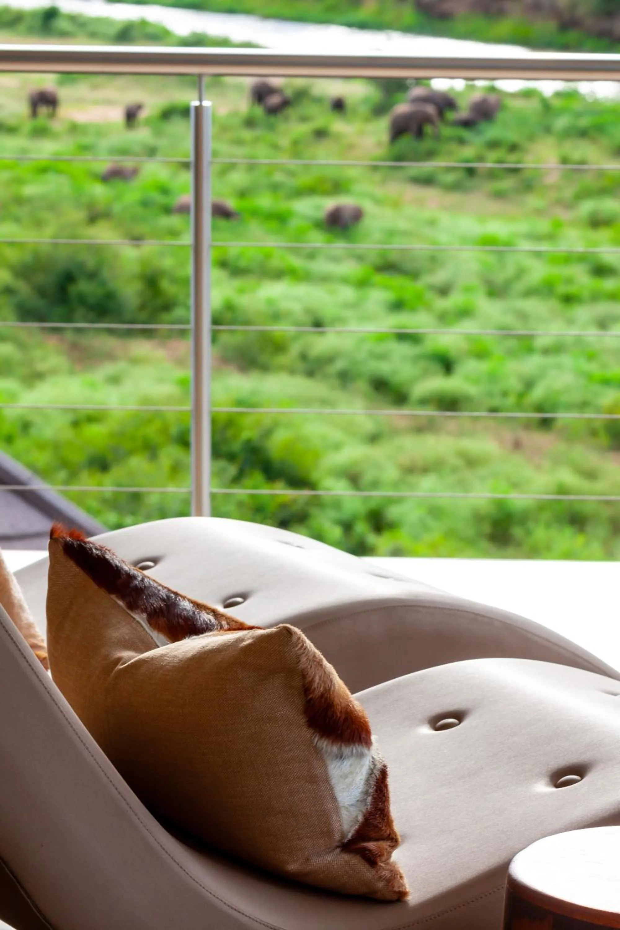 Garden in Royal Mukumbura Malelane