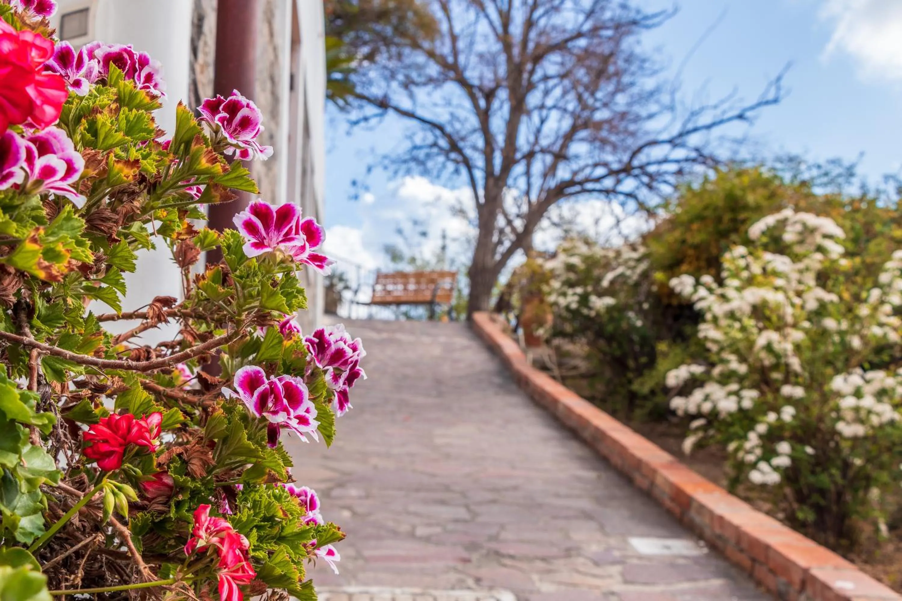 Balcony/Terrace in Hotel Residence La Villetta