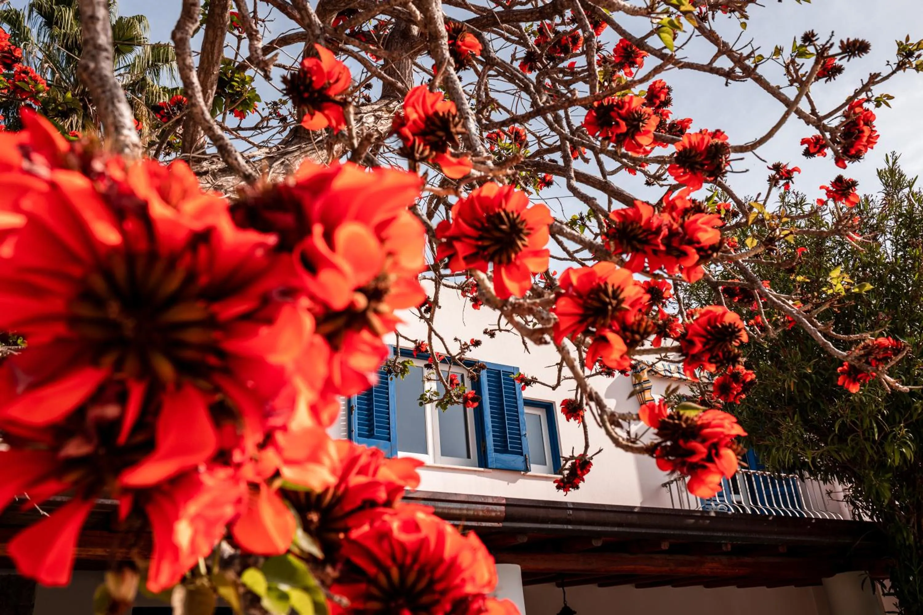 Property building in Hotel Residence La Villetta