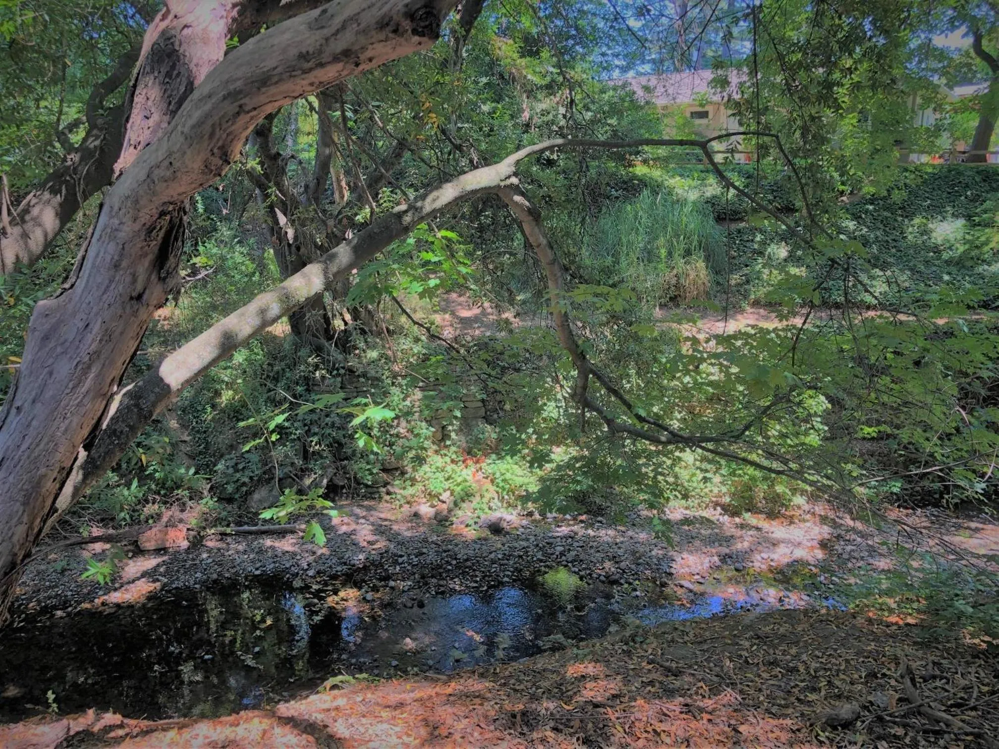 Stahlecker House Inn