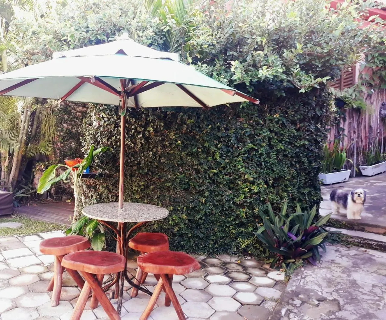 Garden view in Pousada Mar e Sol