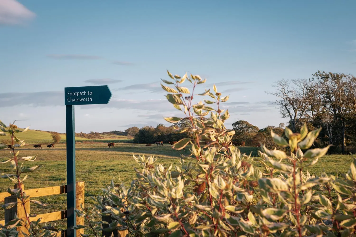 View (from property/room) in The Hide
