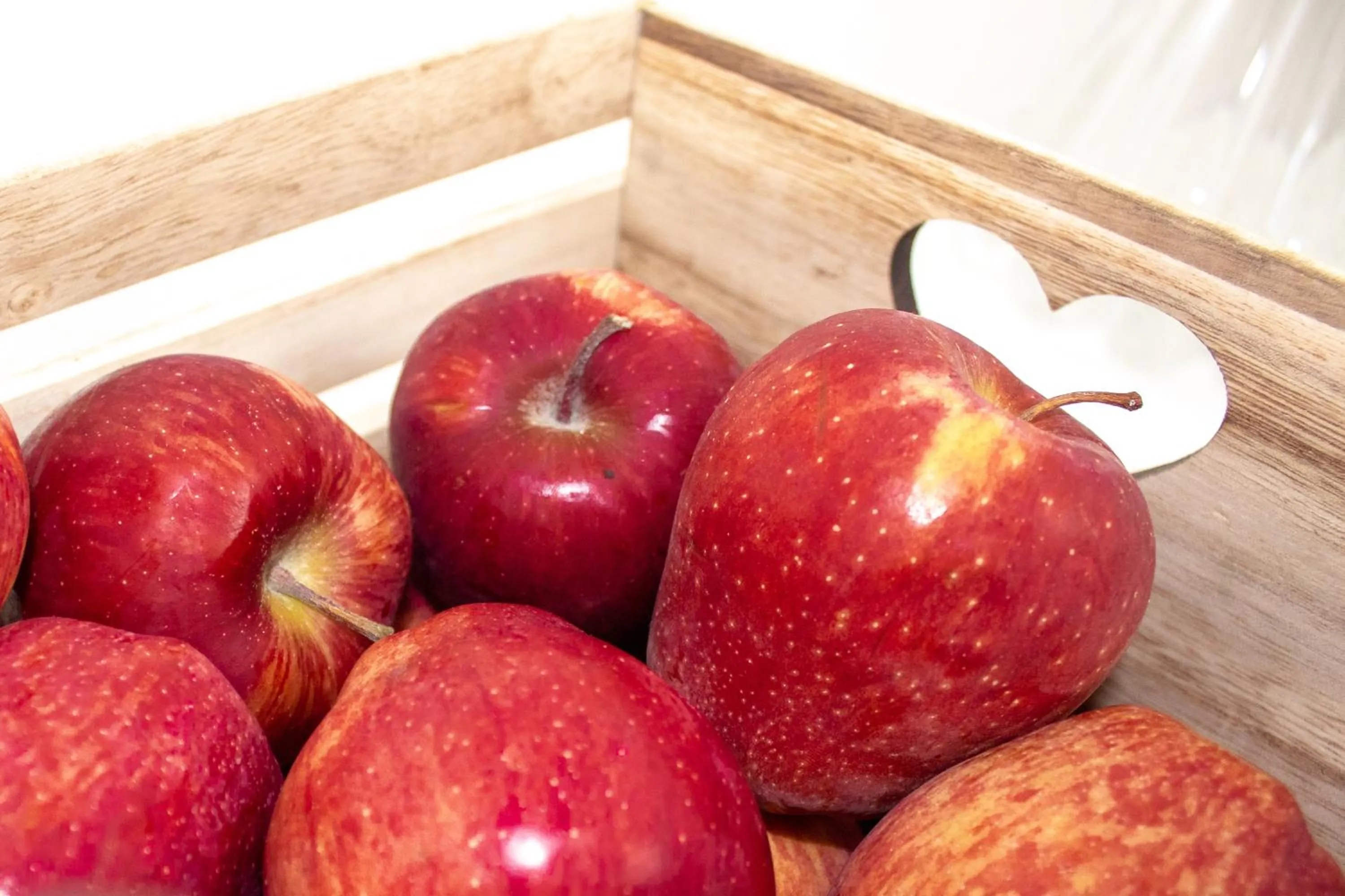 Food close-up in Olbia City Hotel & Spa