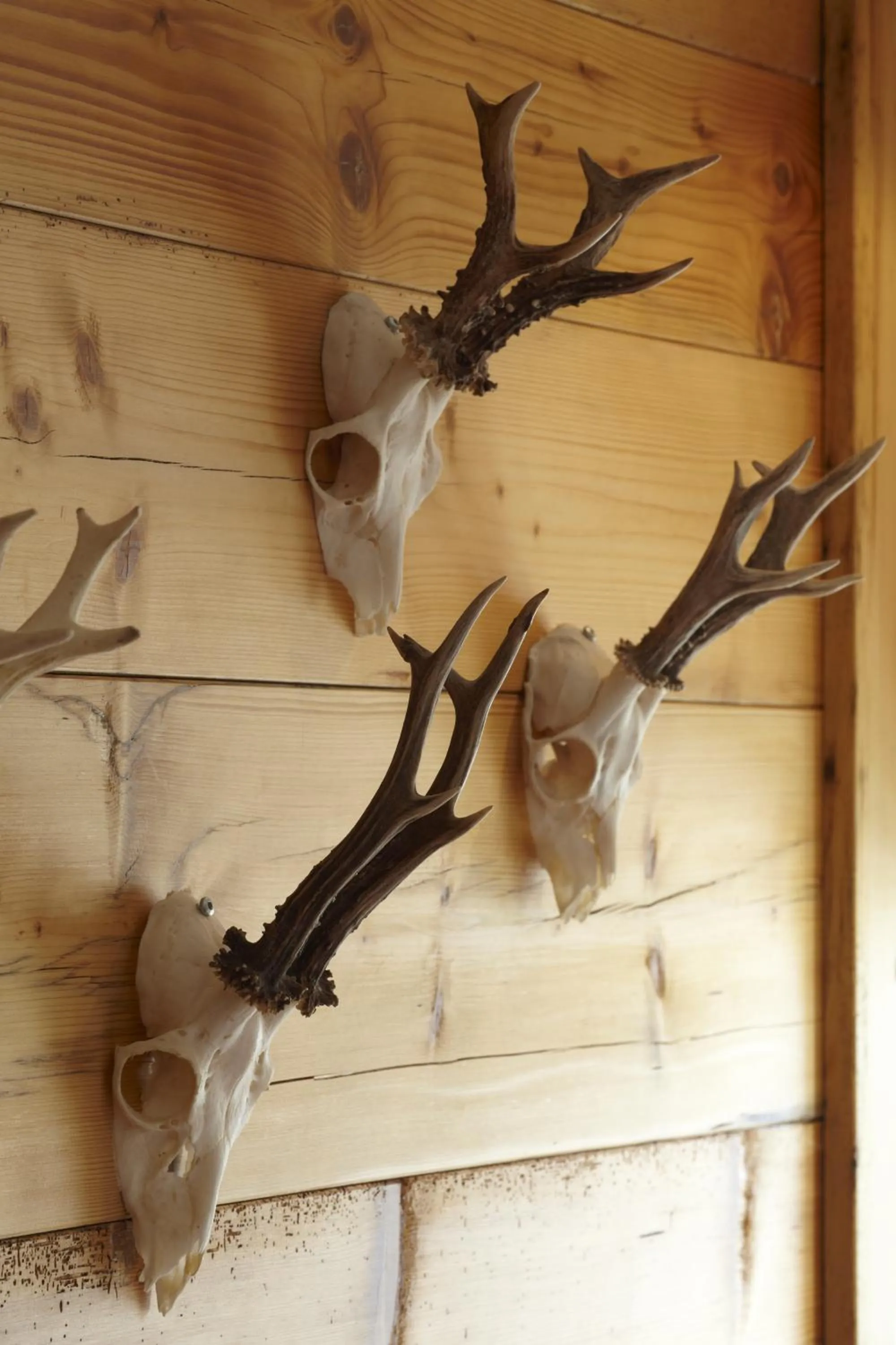 Restaurant/places to eat in Gasthof Neuwirt Unterföhring