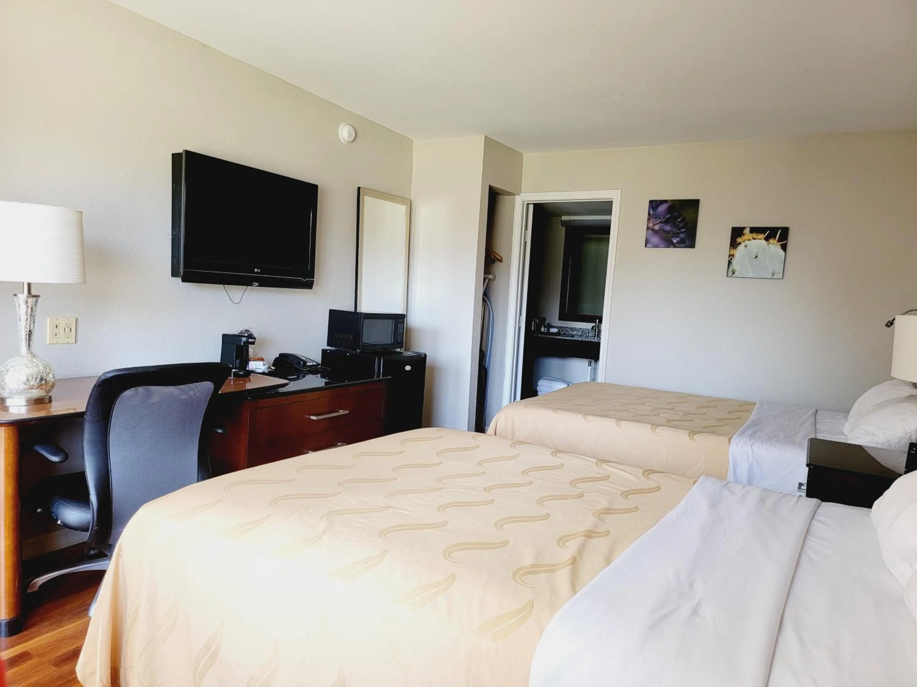 TV and multimedia, Bed in Cambridge Inn