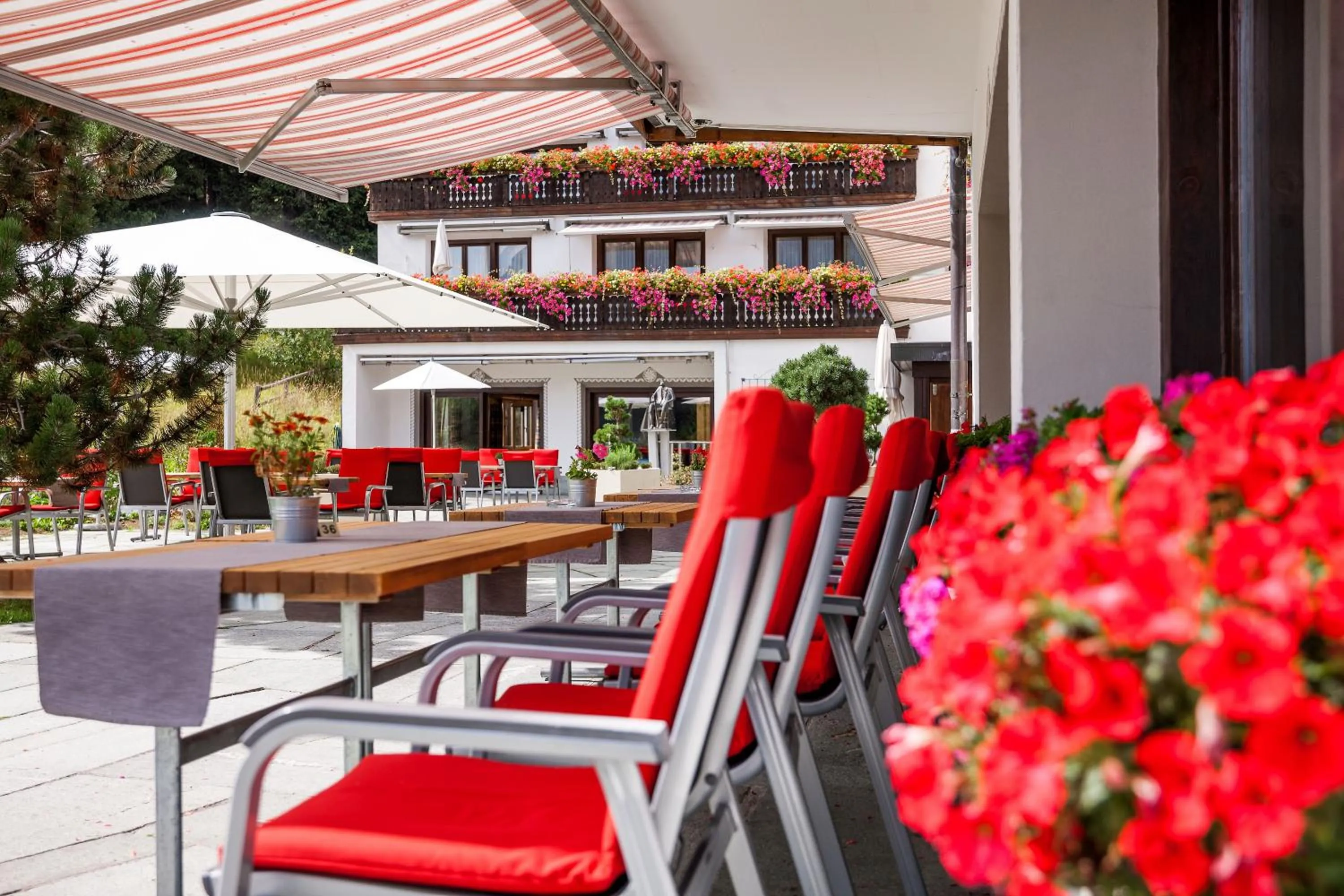Restaurant/places to eat in Hotel Seehof direkt am Heidsee